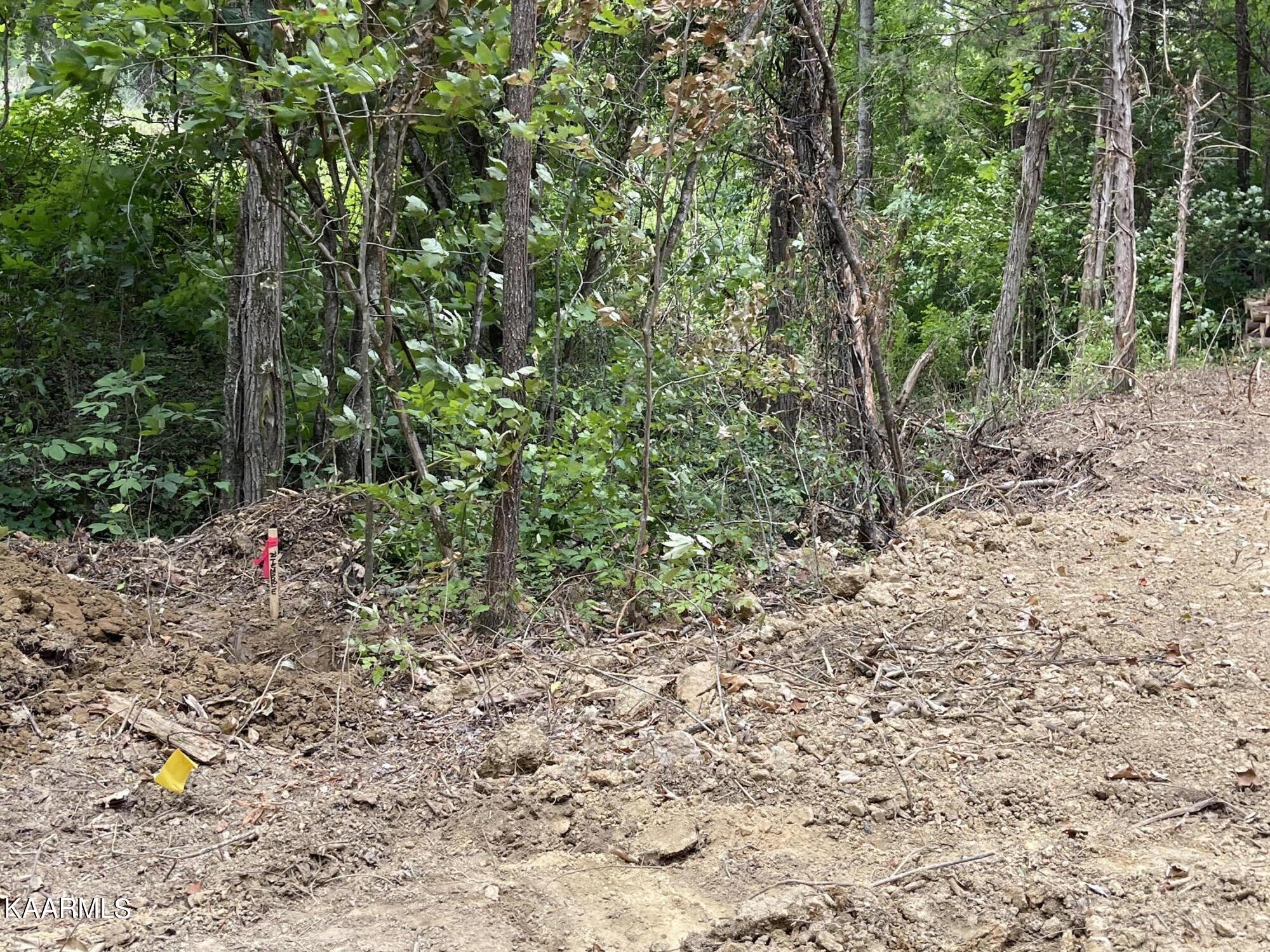 2575 Windfall Estates Drive Sevierville, TN 37876 - Photo 15 of 31 IMG_1068