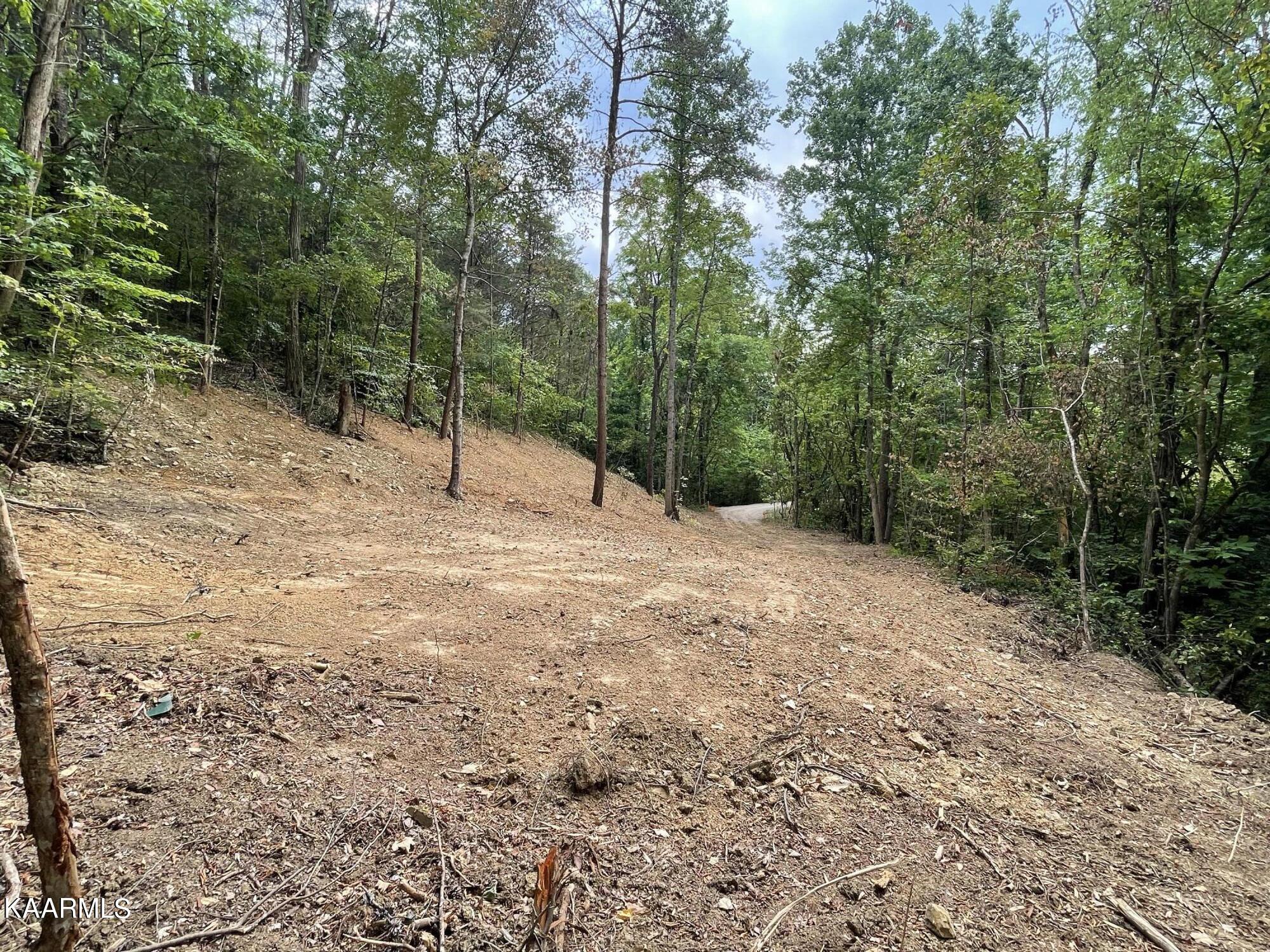 2575 Windfall Estates Drive Sevierville, TN 37876 - Photo 19 of 31 IMG_1075