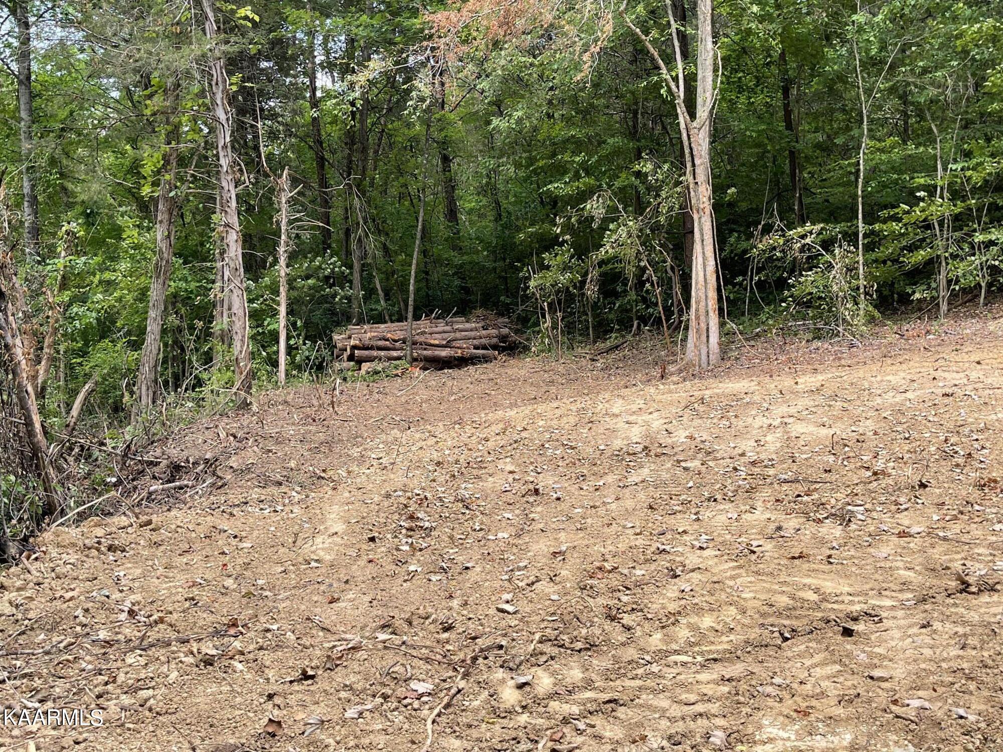 2575 Windfall Estates Drive Sevierville, TN 37876 - Photo 20 of 31 IMG_1070