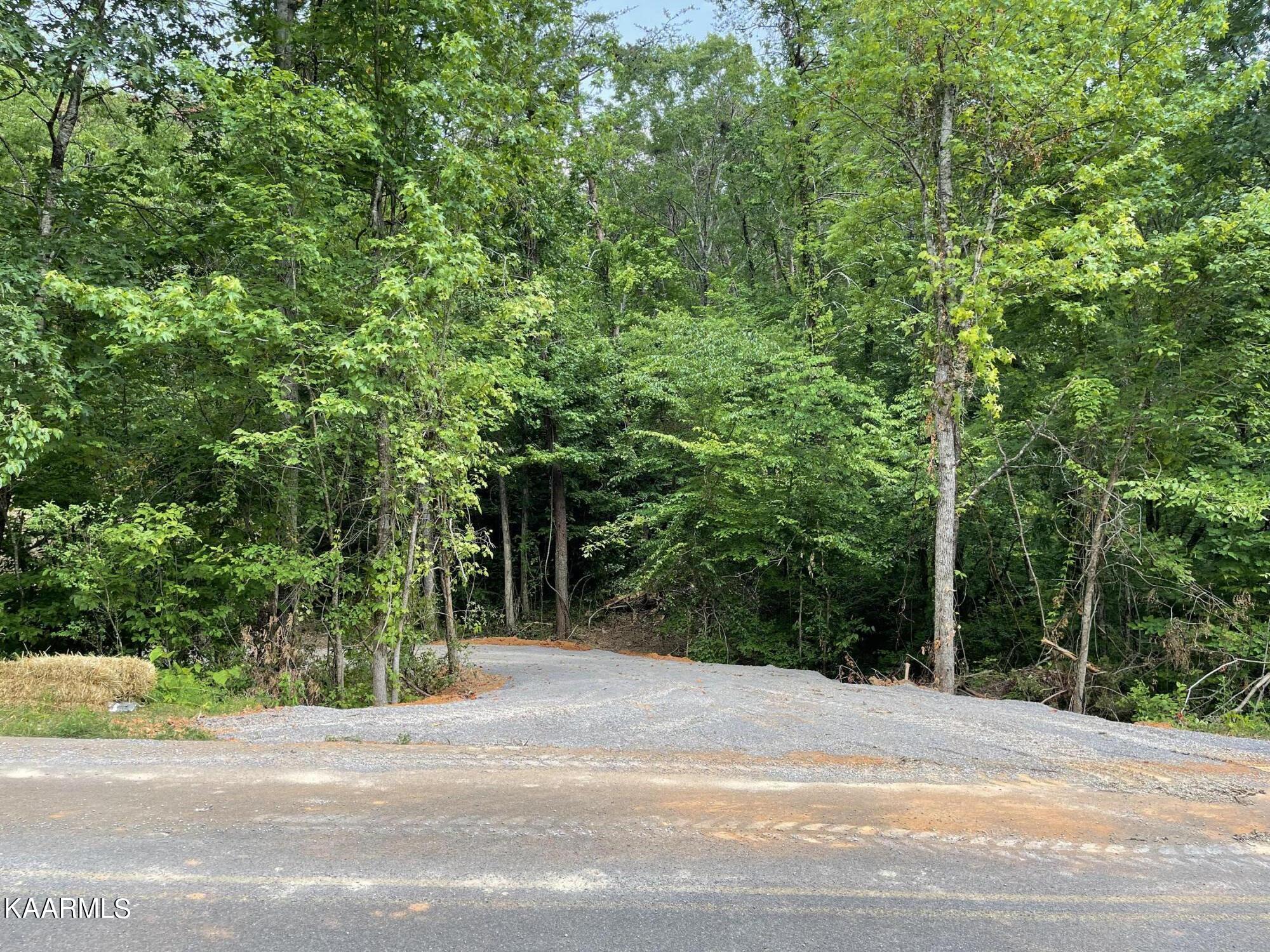 2575 Windfall Estates Drive Sevierville, TN 37876 - Photo 2 of 31 IMG_1053