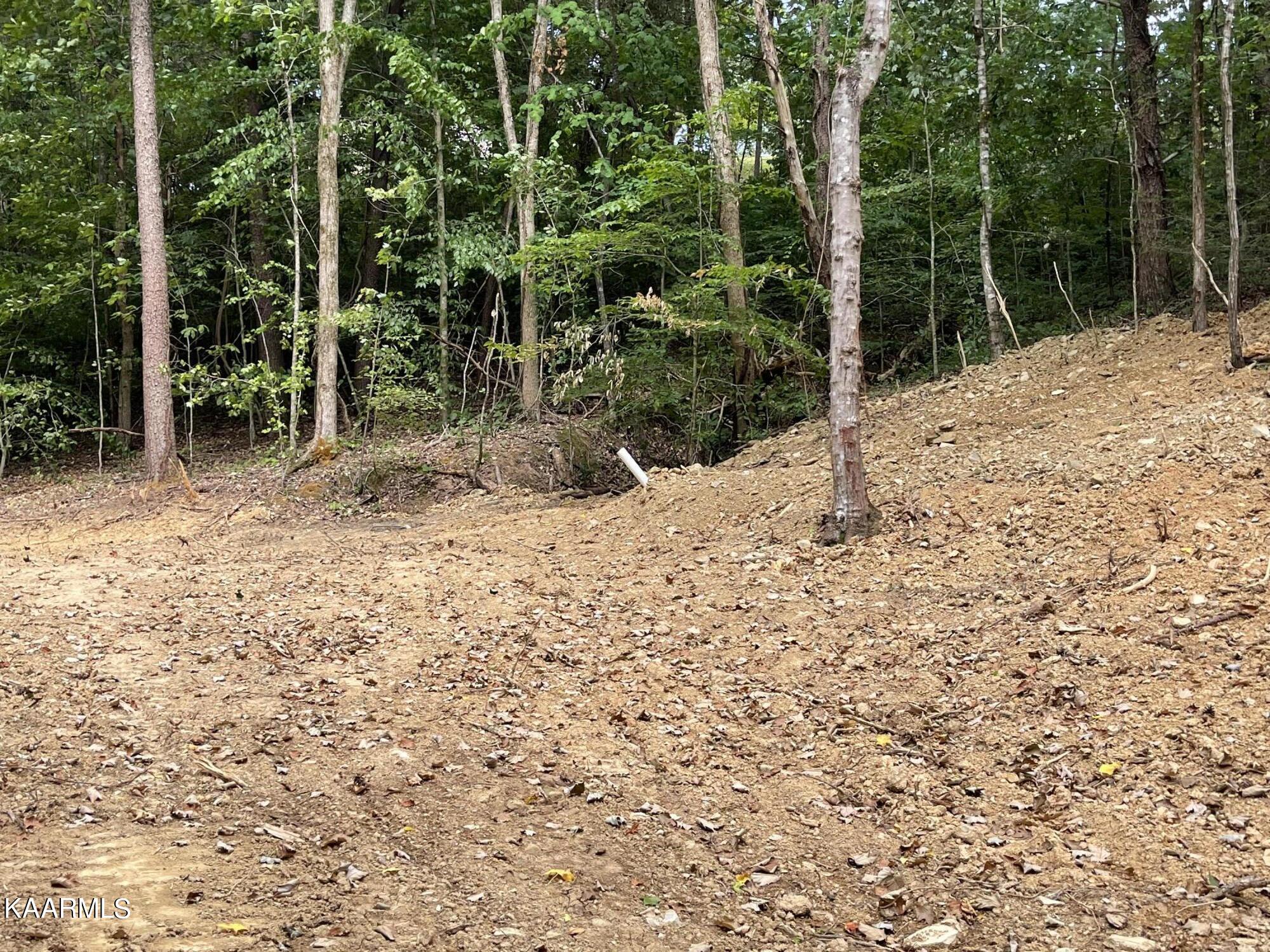 2575 Windfall Estates Drive Sevierville, TN 37876 - Photo 21 of 31 IMG_1069