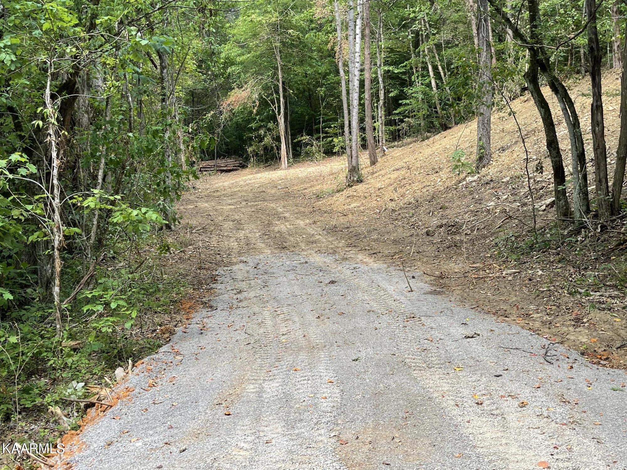 2575 Windfall Estates Drive Sevierville, TN 37876 - Photo 22 of 31 IMG_1066