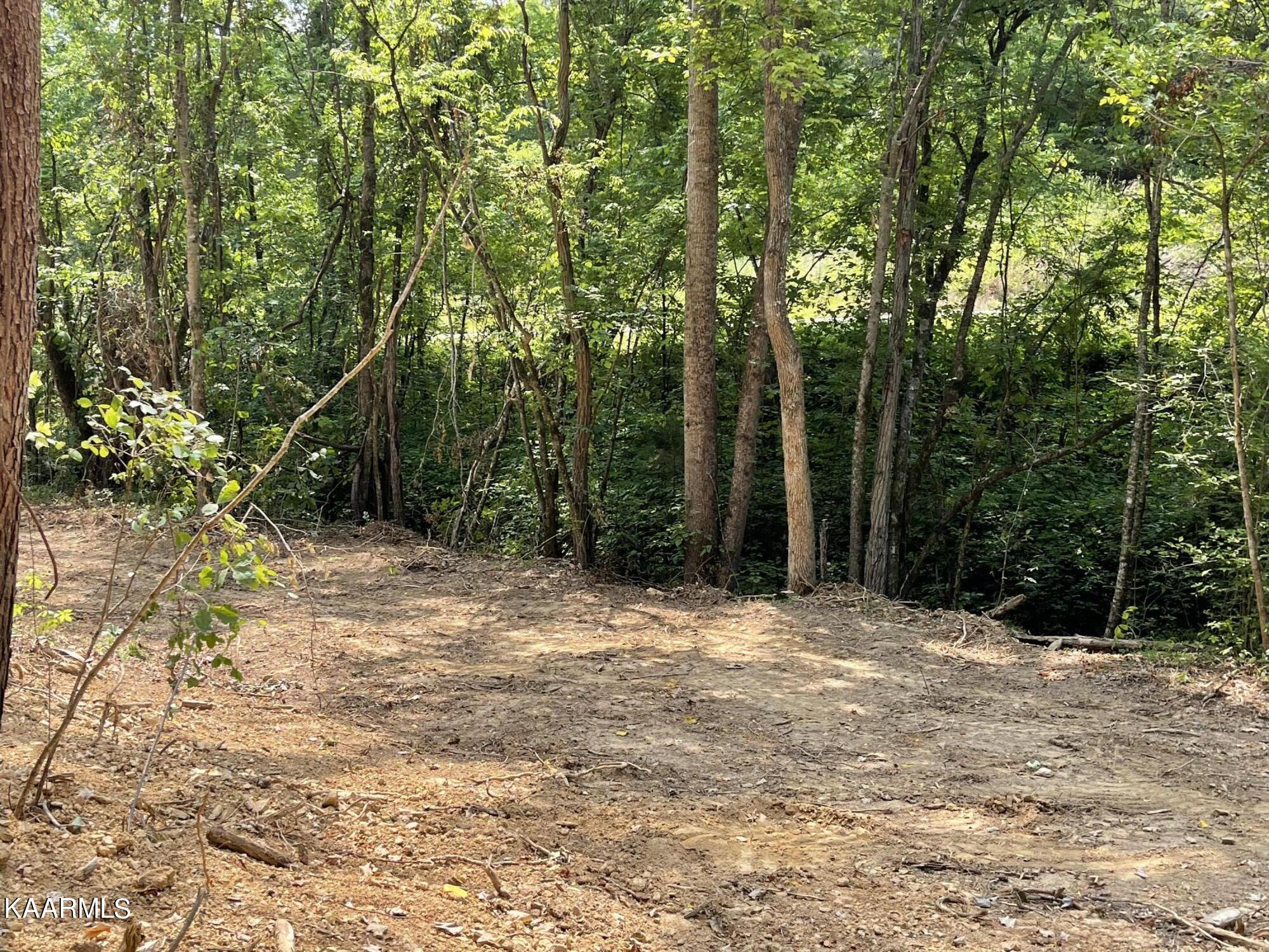 2575 Windfall Estates Drive Sevierville, TN 37876 - Photo 23 of 31 IMG_1064