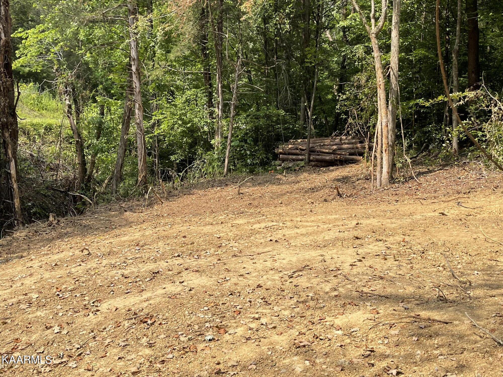 2575 Windfall Estates Drive Sevierville, TN 37876 - Photo 24 of 31 IMG_1063