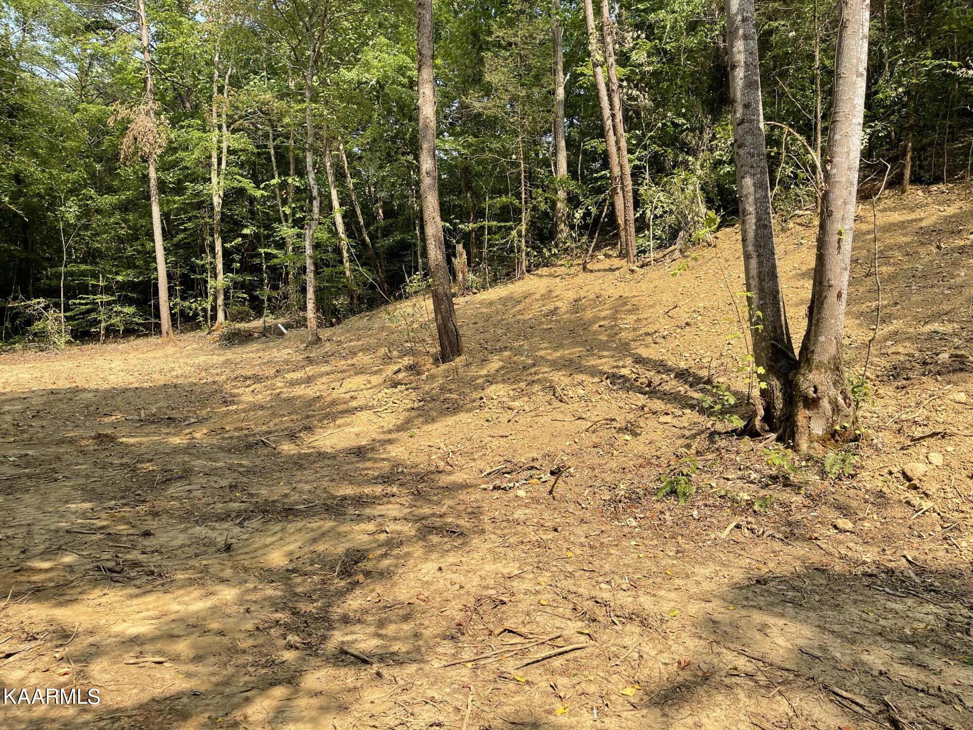 2575 Windfall Estates Drive Sevierville, TN 37876 - Photo 25 of 31 IMG_1060