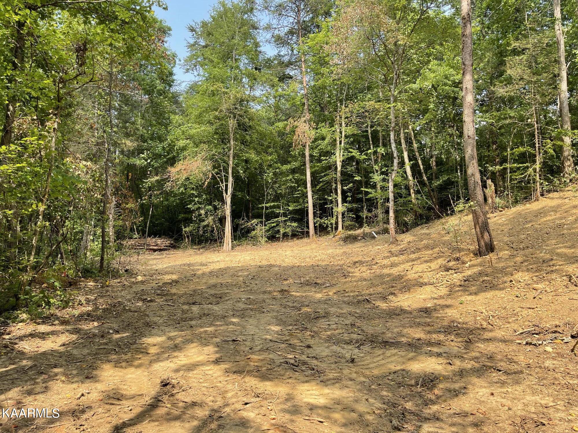 2575 Windfall Estates Drive Sevierville, TN 37876 - Photo 26 of 31 IMG_1058