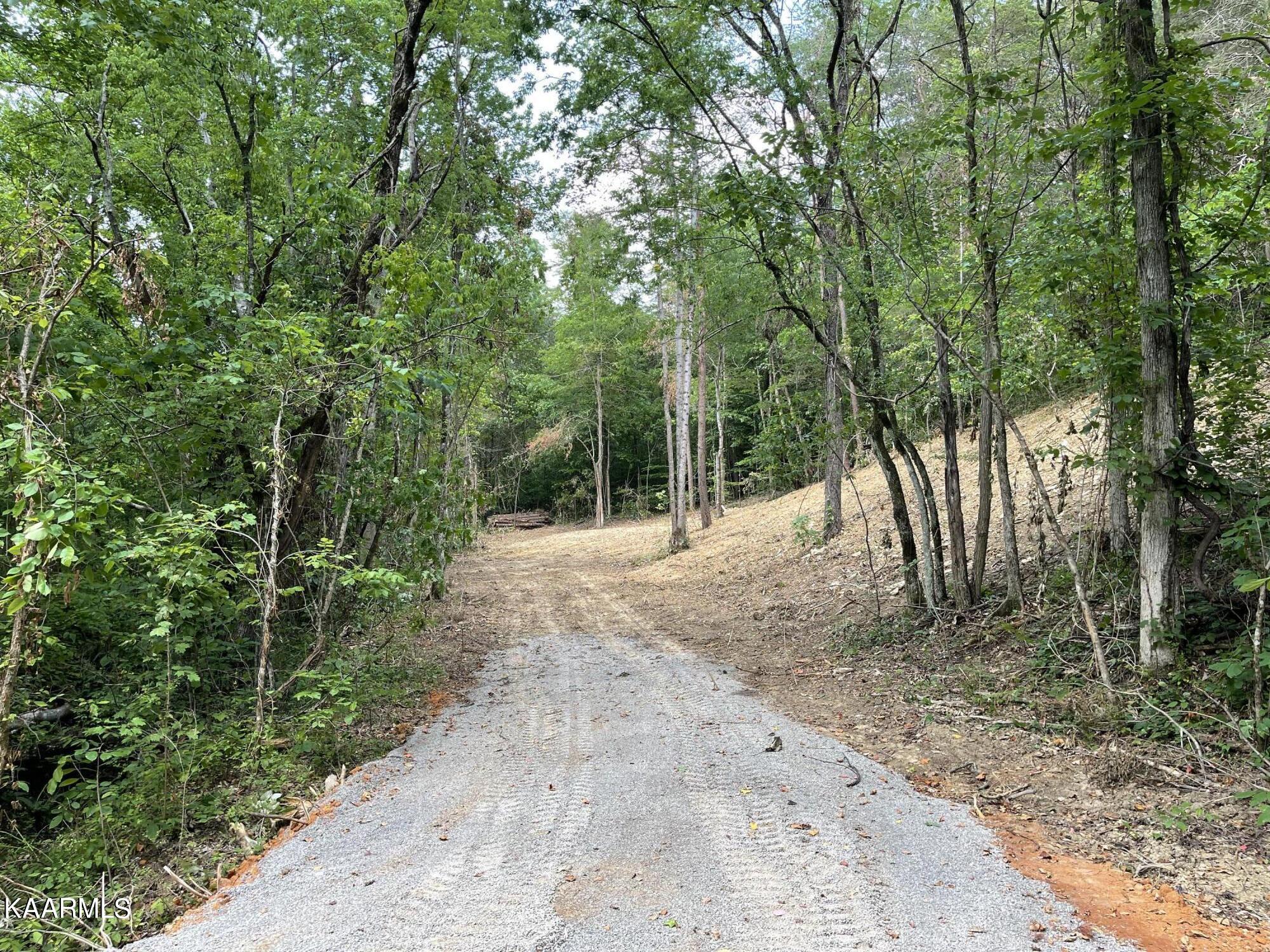 2575 Windfall Estates Drive Sevierville, TN 37876 - Photo 28 of 31 IMG_1050