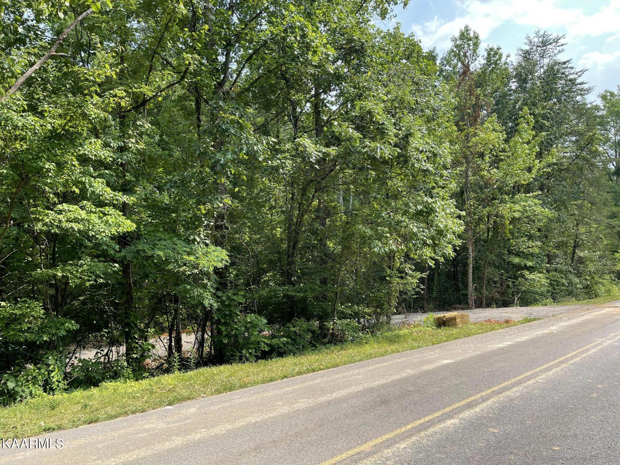 2575 Windfall Estates Drive Sevierville, TN 37876 - Photo 29 of 31 IMG_1056