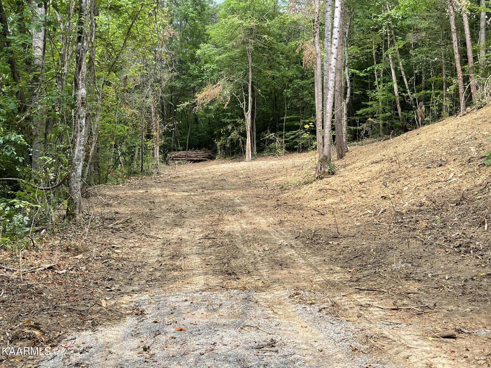 2575 Windfall Estates Drive Sevierville, TN 37876 - Photo 5 of 31 IMG_1067