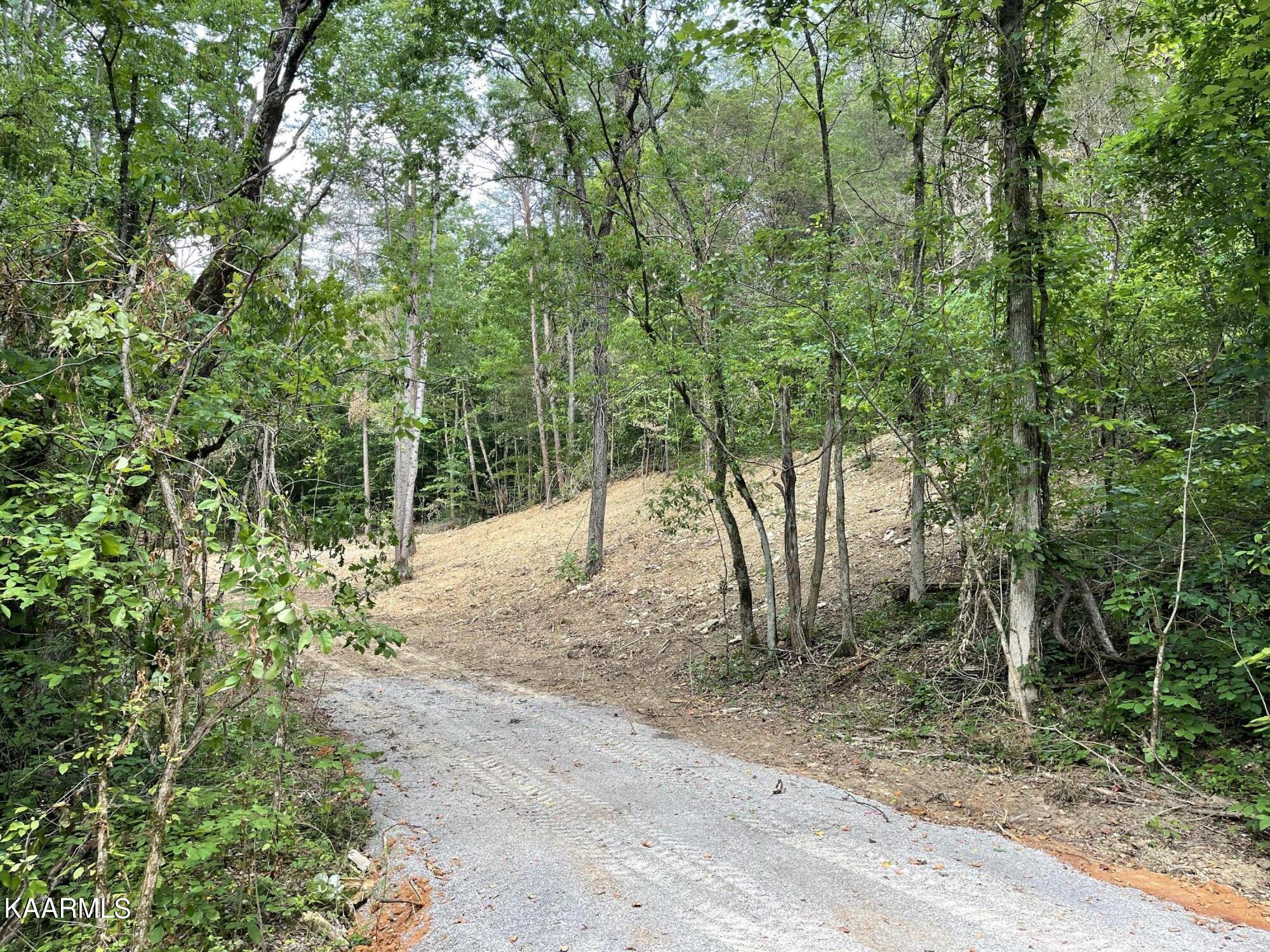 2575 Windfall Estates Drive Sevierville, TN 37876 - Photo 6 of 31 IMG_1051