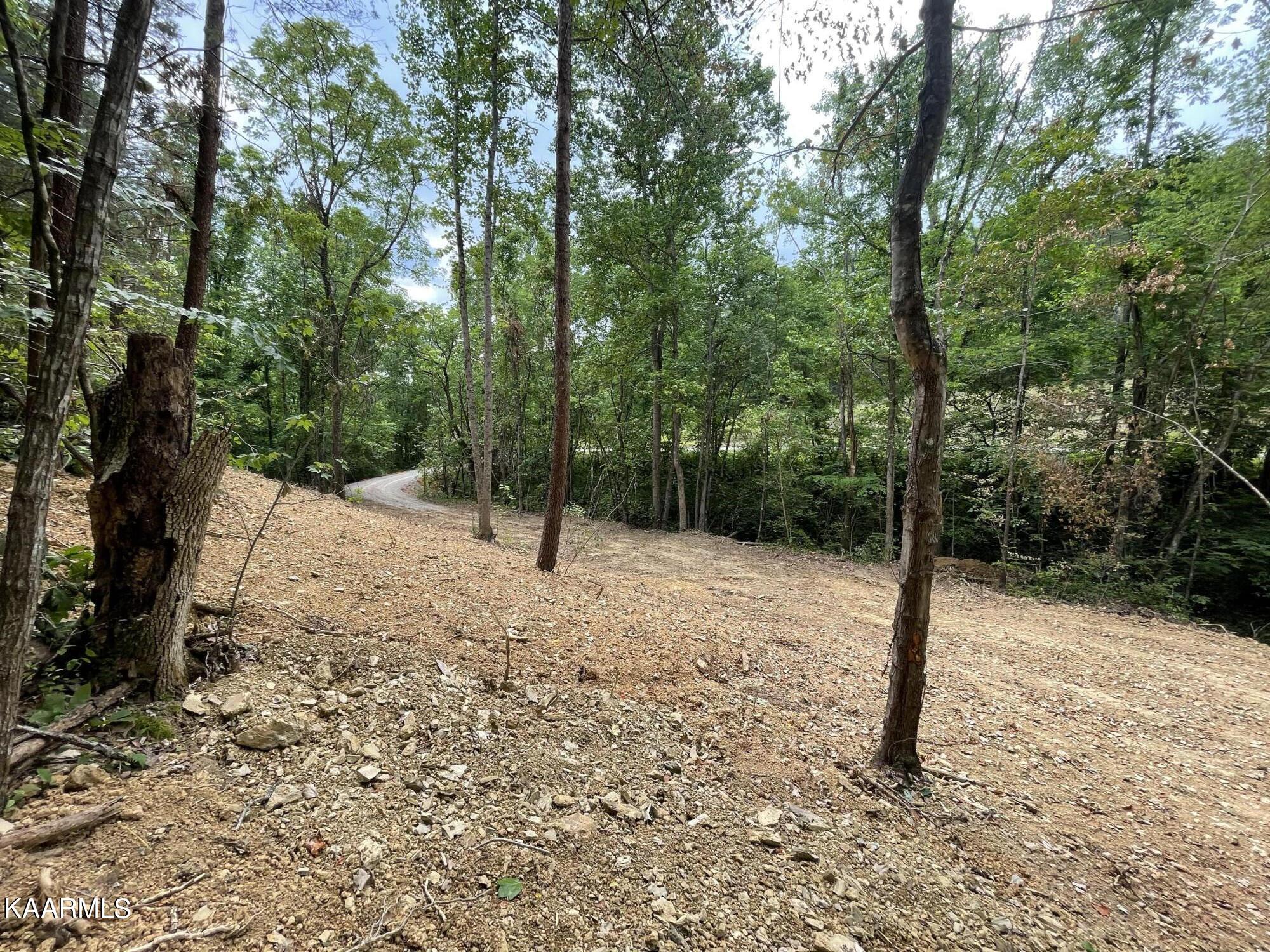 2575 Windfall Estates Drive Sevierville, TN 37876 - Photo 7 of 31 IMG_1076