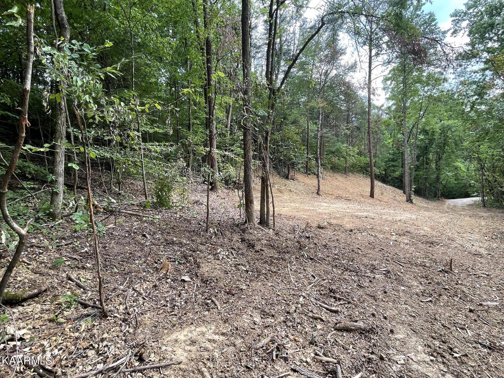 2575 Windfall Estates Drive Sevierville, TN 37876 - Photo 8 of 31 IMG_1074