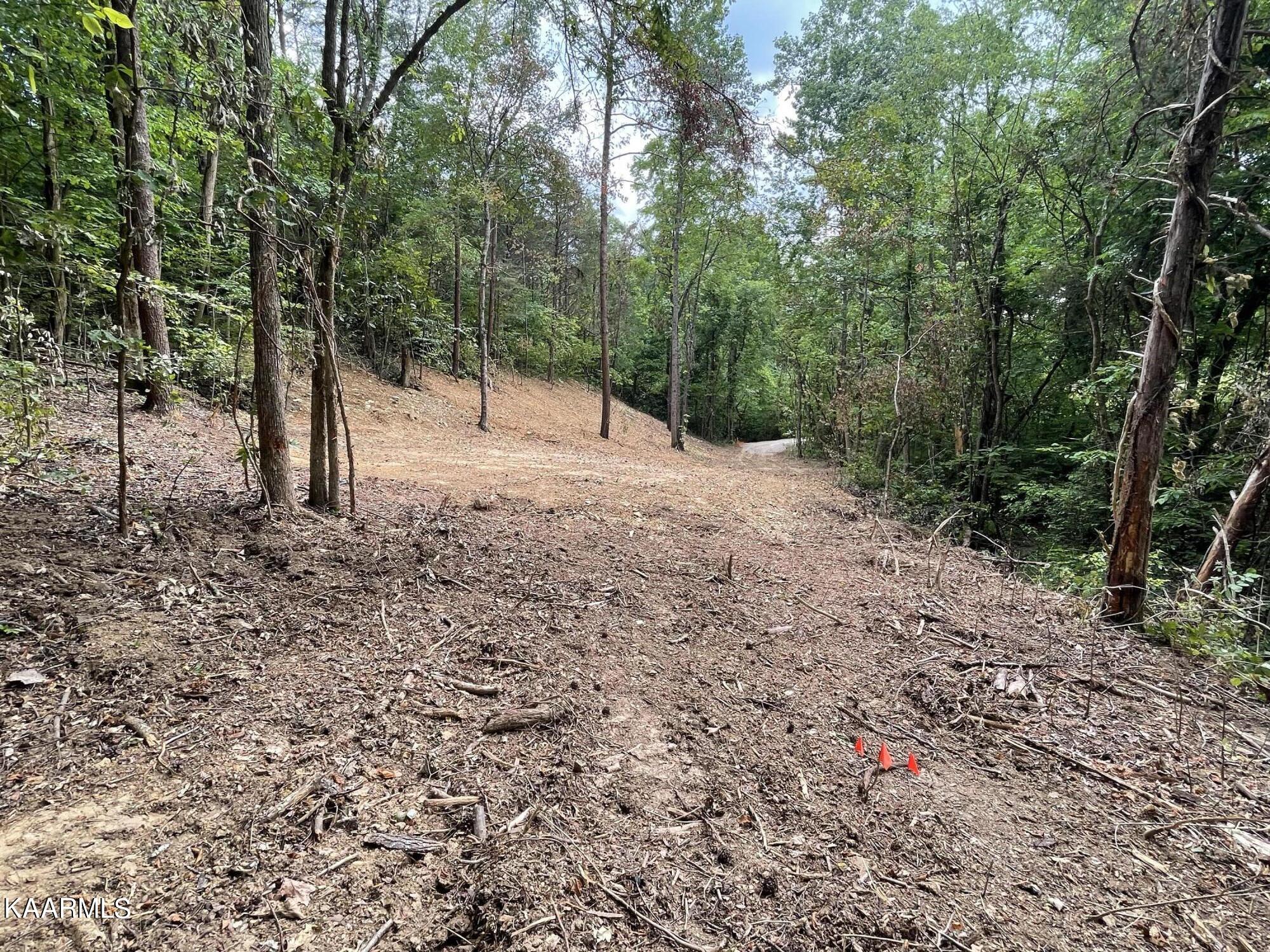 2575 Windfall Estates Drive Sevierville, TN 37876 - Photo 10 of 31 IMG_1072