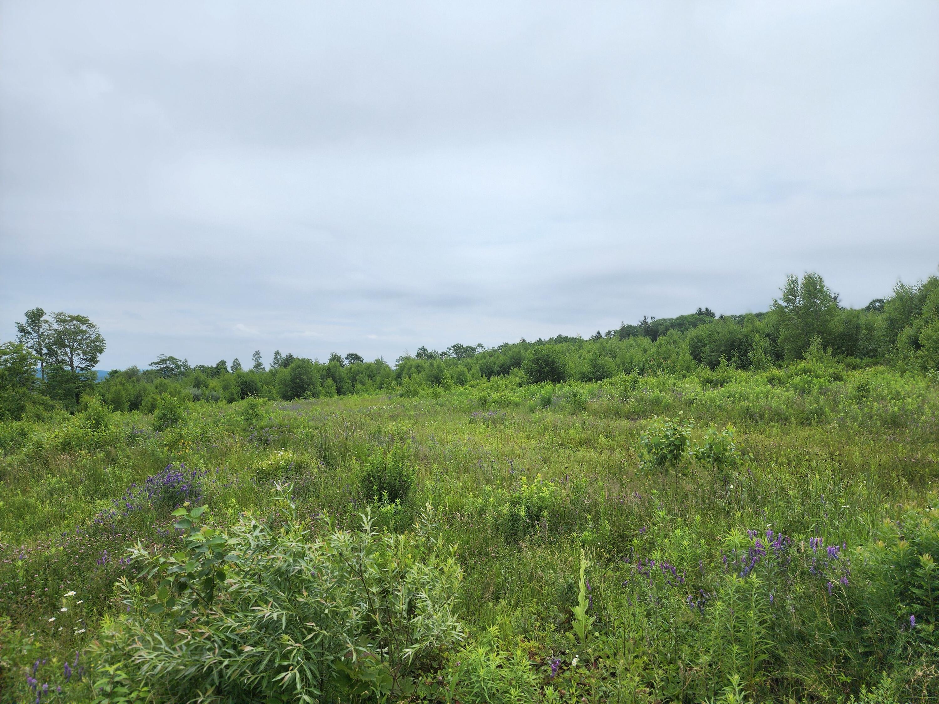 213 Moose Hl Road Ellsworth, ME 04605 - Photo 7 of 34 20250701_112823