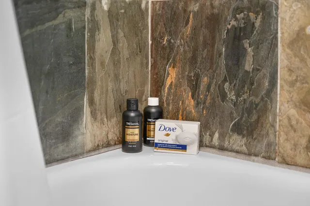 a view of a bunch of plants and trees