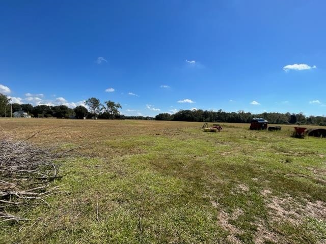Bull Springs Road Robertsdale, AL 36567 - Photo 3 of 28