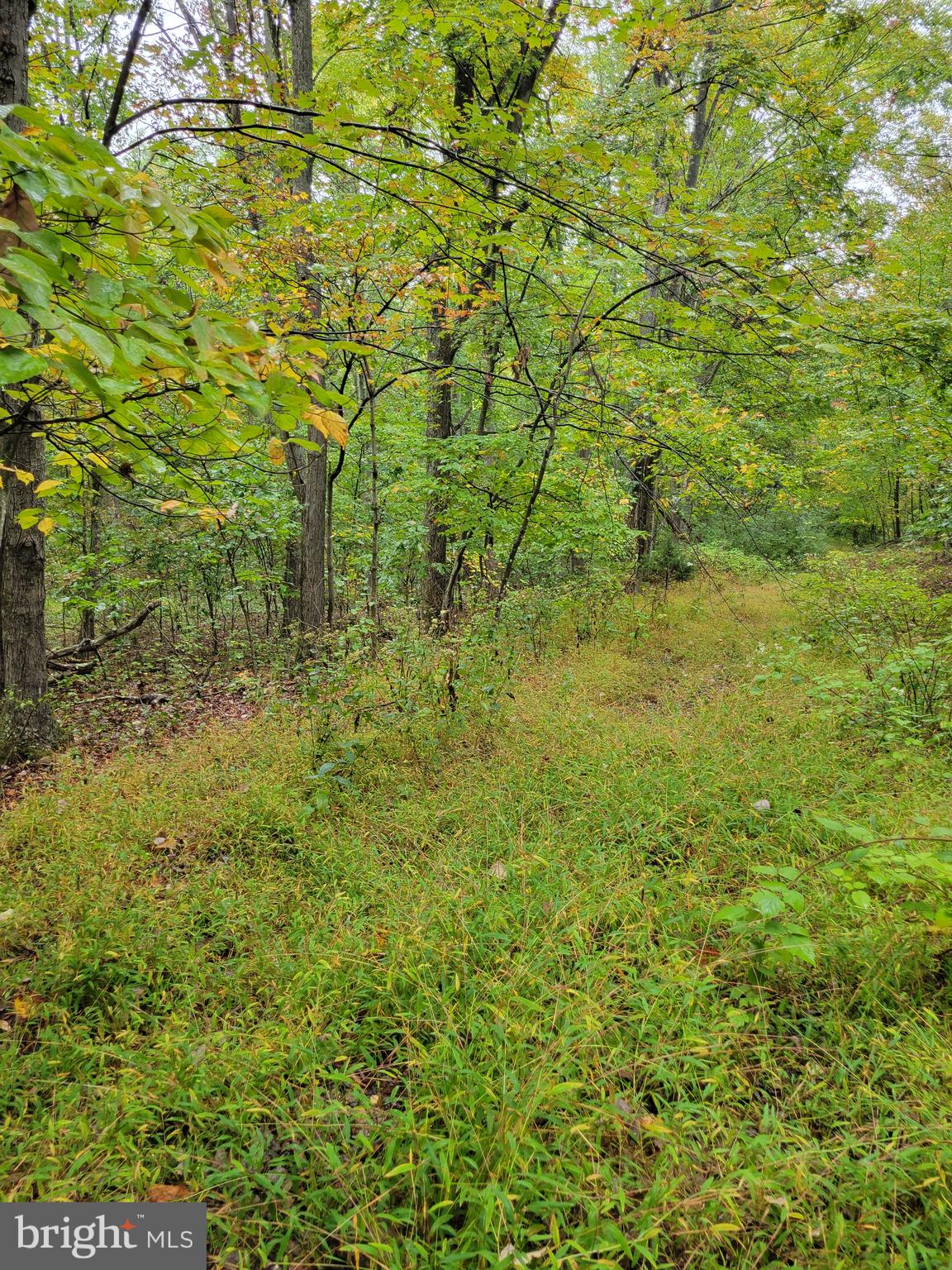 Hawks Way Delray, WV 26714 - Photo 3 of 8 Property to left at cul de sac