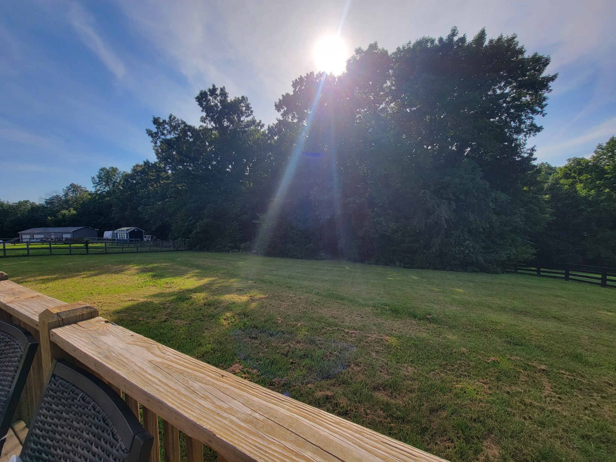961 Big Springs Road Charlotte, TN 37036 - Photo 19 of 50 The view of your beautiful yard and wooded area from your back deck.