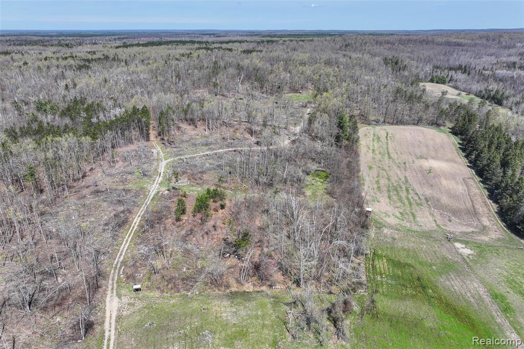 1064 West Helmer Lake Road Mio, MI 48647 - Photo 48 of 56