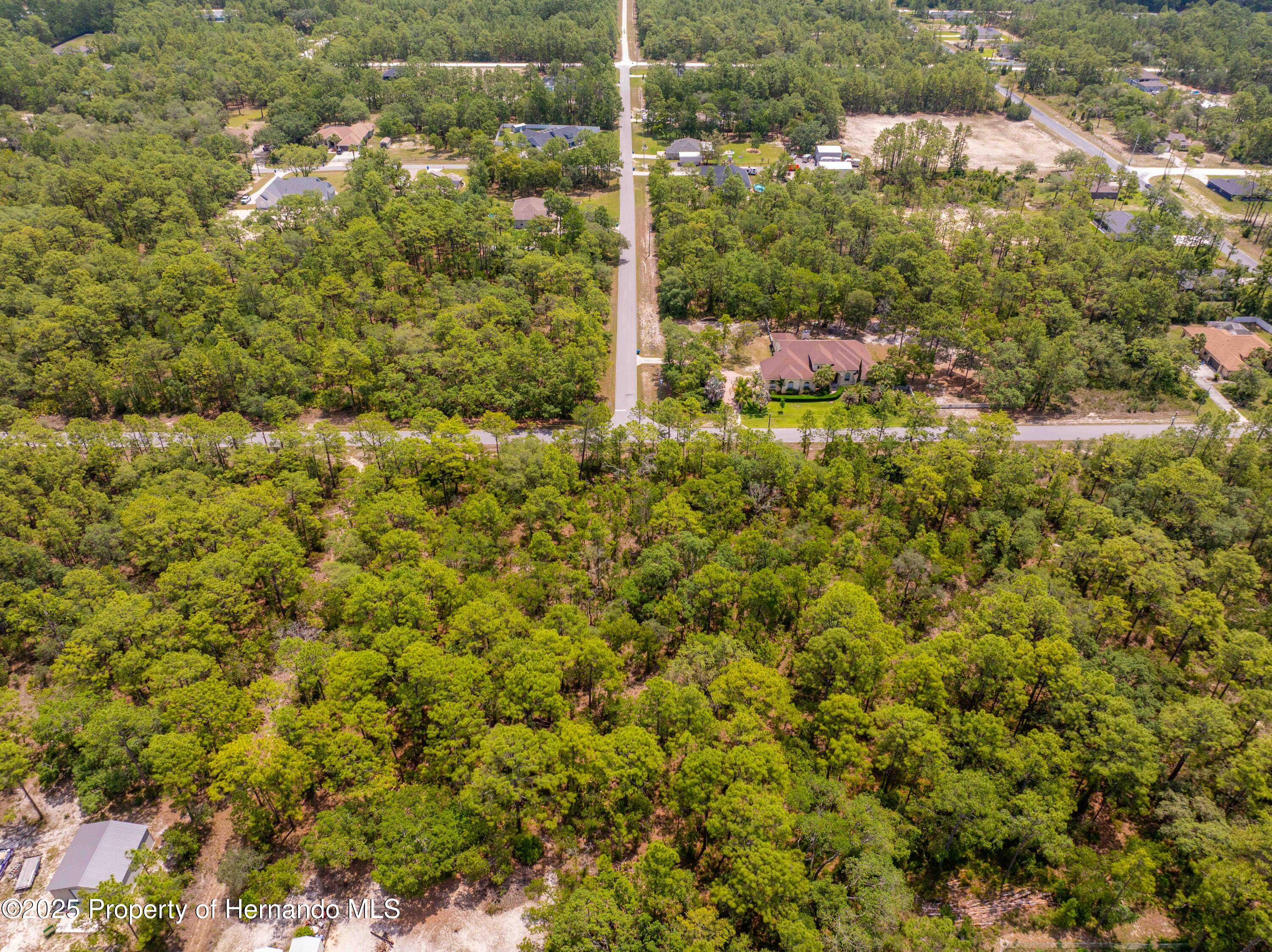 0 Mount Sparrow Road Brooksville, FL 34614 - Photo 7 of 14
