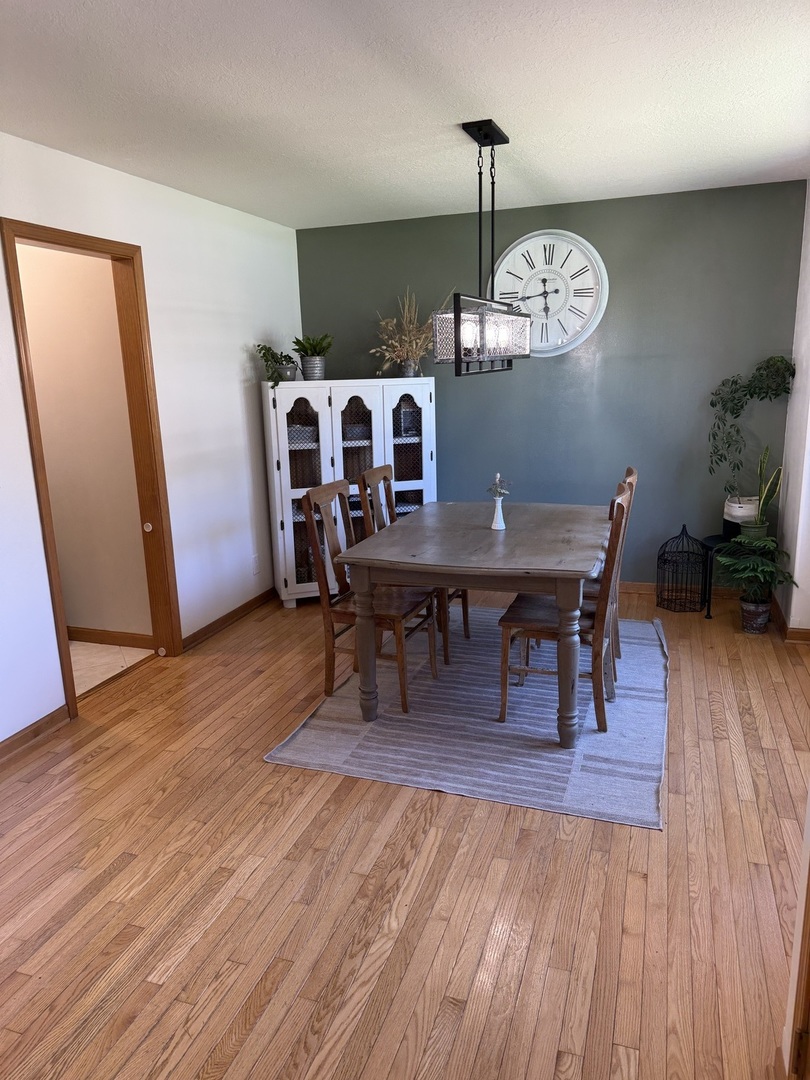 453 Snipe Run Drive Bonfield, IL 60913 - Photo 5 of 36