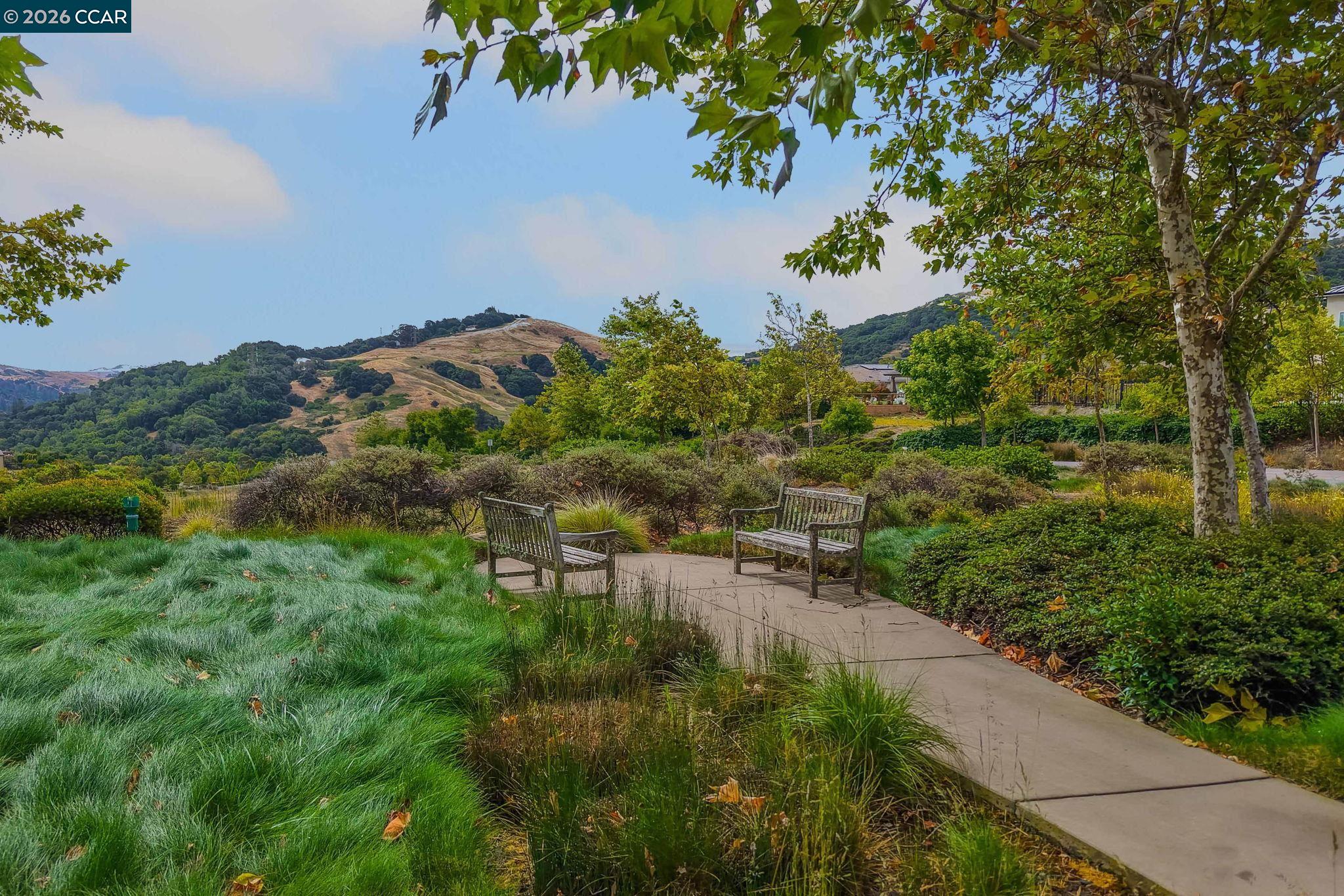38 Fiddleneck Way Orinda, CA 94563 - Photo 49 of 51