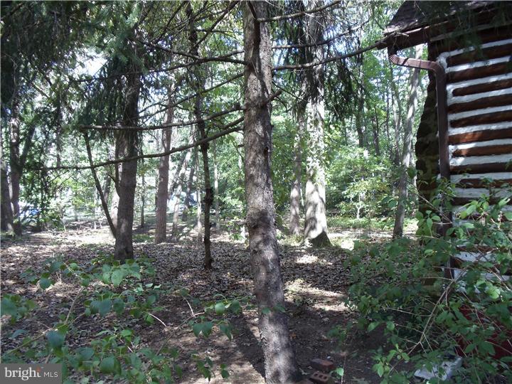 117 Upper Park Road Mount Laurel, NJ 08054 - Photo 20 of 23 Side Yard