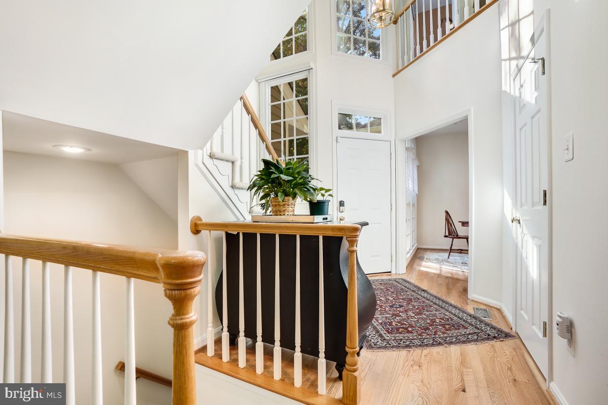 11433 Hollow Timber Way Reston, VA 20194 - Photo 5 of 45