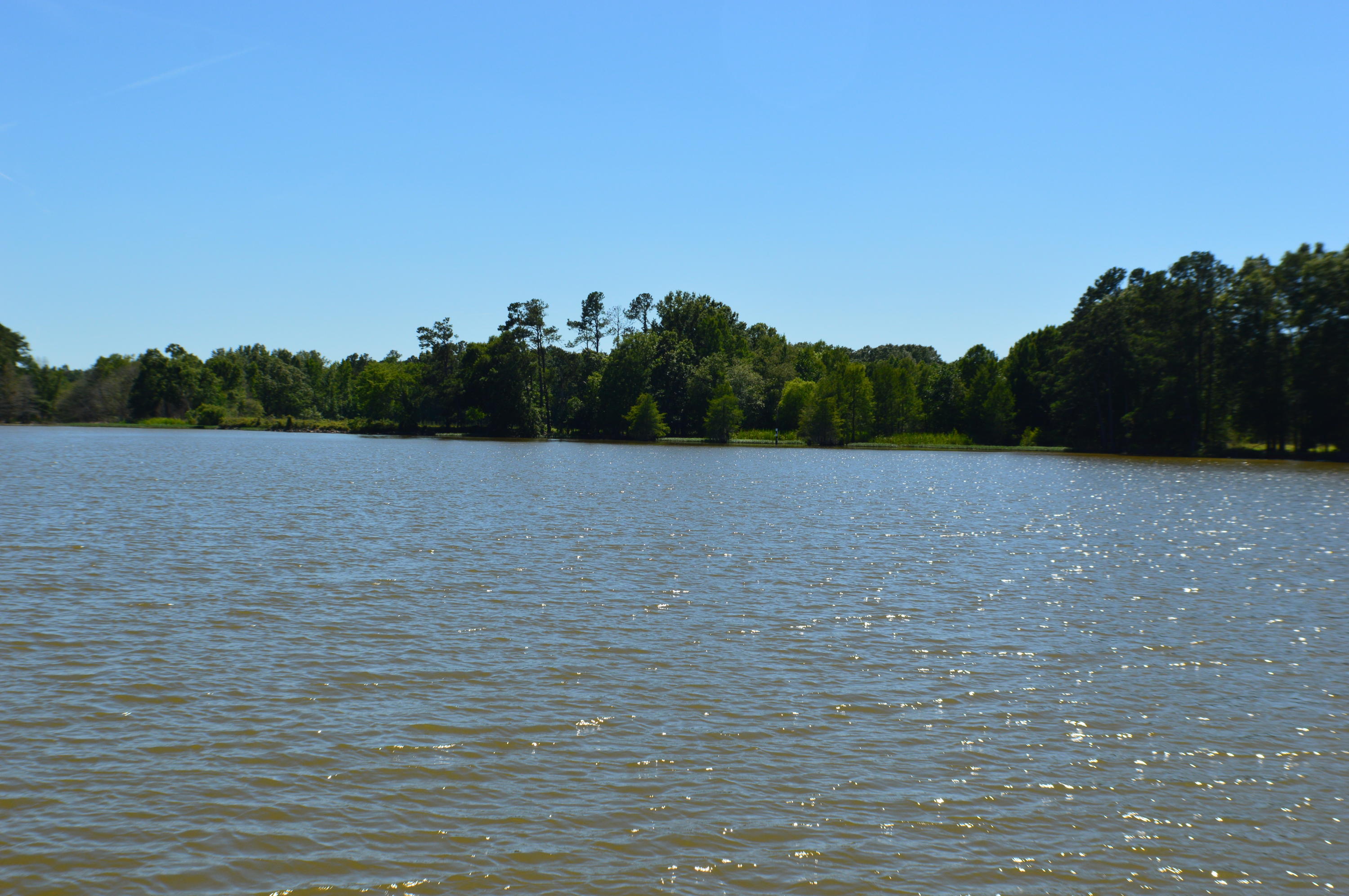 2054 Goat Island Road Summerton, SC 29148 - Photo 22 of 55 DSC_2839