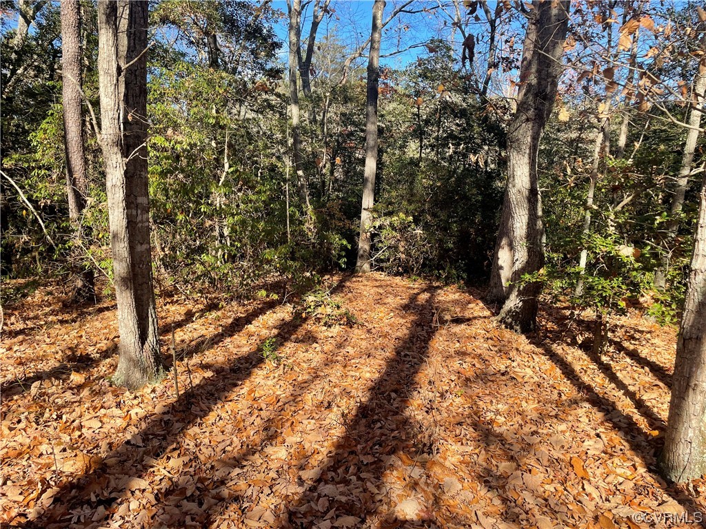 Lot 66 Senora Road Lancaster, VA 22503 - Photo 3 of 8 a view of a yard with trees
