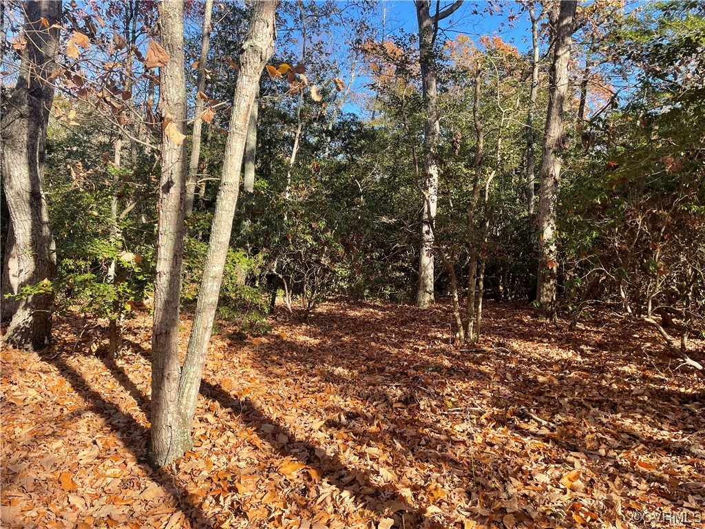 Lot 66 Senora Road Lancaster, VA 22503 - Photo 5 of 8 a view of a forest