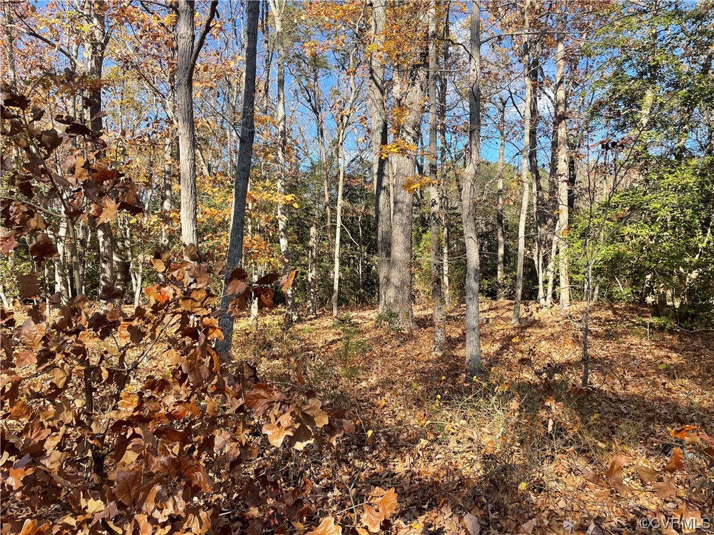 Lot 66 Senora Road Lancaster, VA 22503 - Photo 7 of 8 a view of a large tree