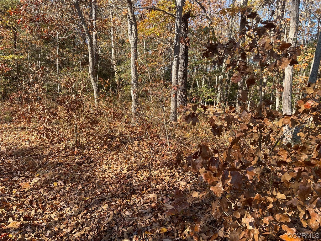 Lot 66 Senora Road Lancaster, VA 22503 - Photo 8 of 8 a view of a yard