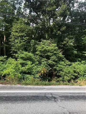 a view of a garden from a window