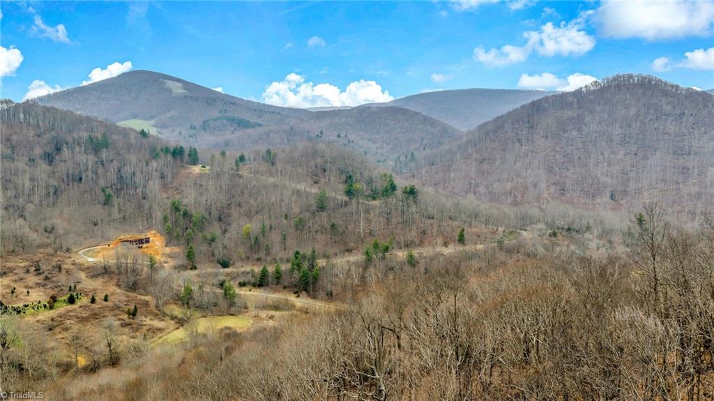1 Three Top Road Todd, NC 28684 - Photo 11 of 27