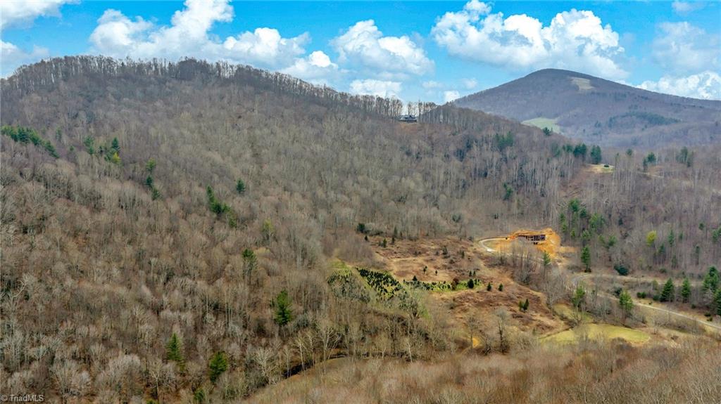 1 Three Top Road Todd, NC 28684 - Photo 19 of 27