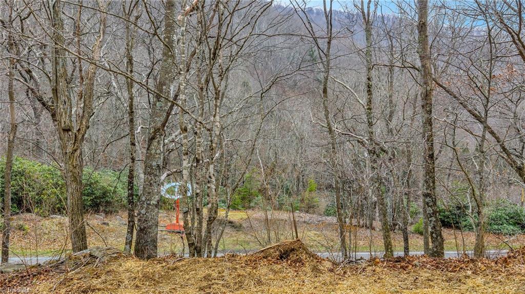 1 Three Top Road Todd, NC 28684 - Photo 21 of 27