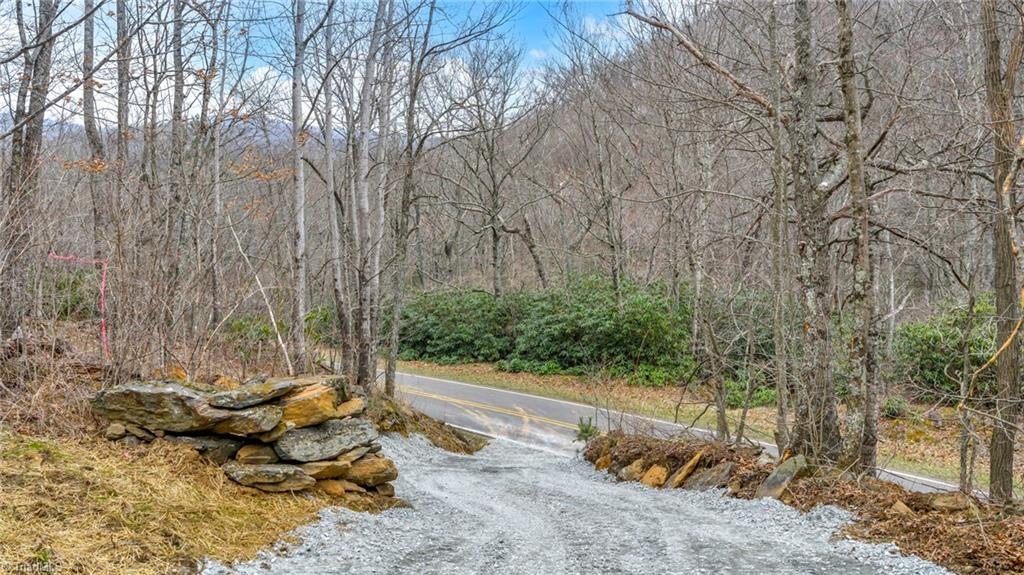 1 Three Top Road Todd, NC 28684 - Photo 4 of 27