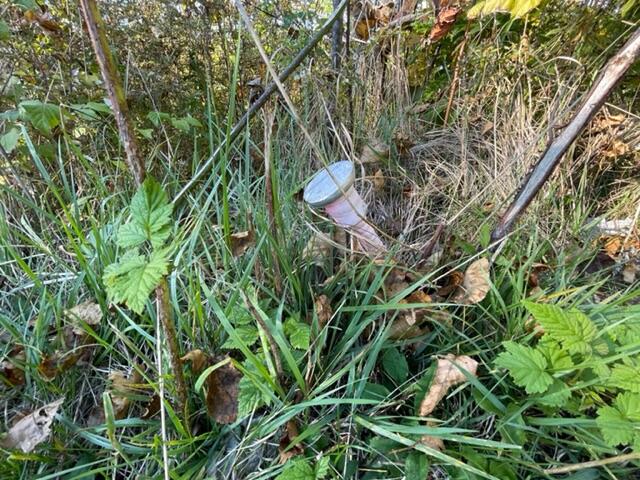 137 County Road Lubec, ME 04652 - Photo 57 of 60 IMG_9955