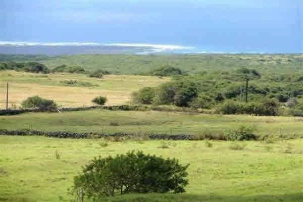 5 Kamaoa Road Captain Cook, HI 96704 - Photo 2 of 9 Gallery Image 2