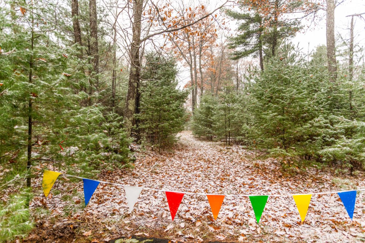 On Lambert Road Minocqua, WI 54548 - Photo 2 of 17 Gallery Image 2