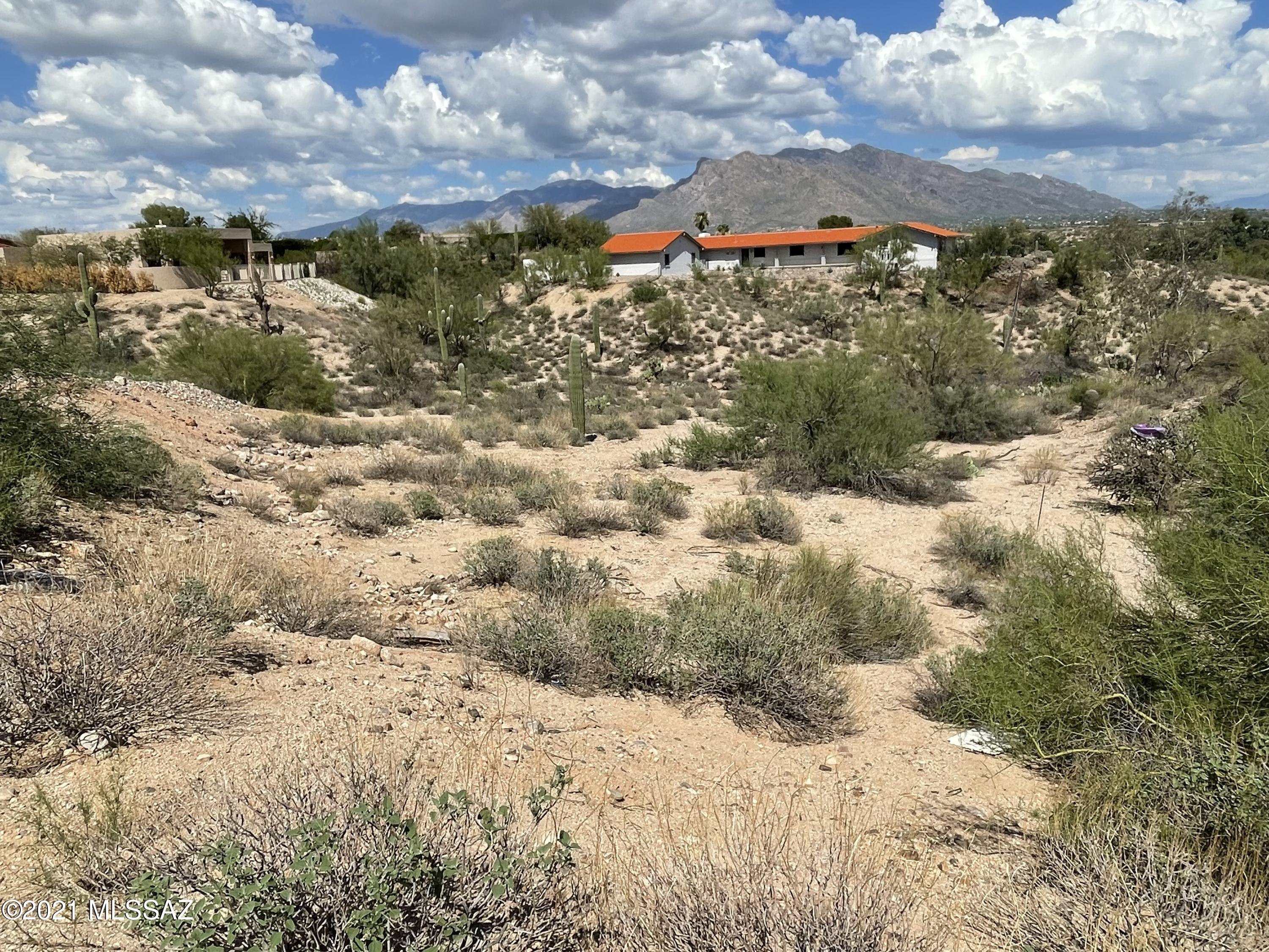 8242 North Shannon Road, Unit 1207 Tucson, AZ 85742 - Photo 1 of 28