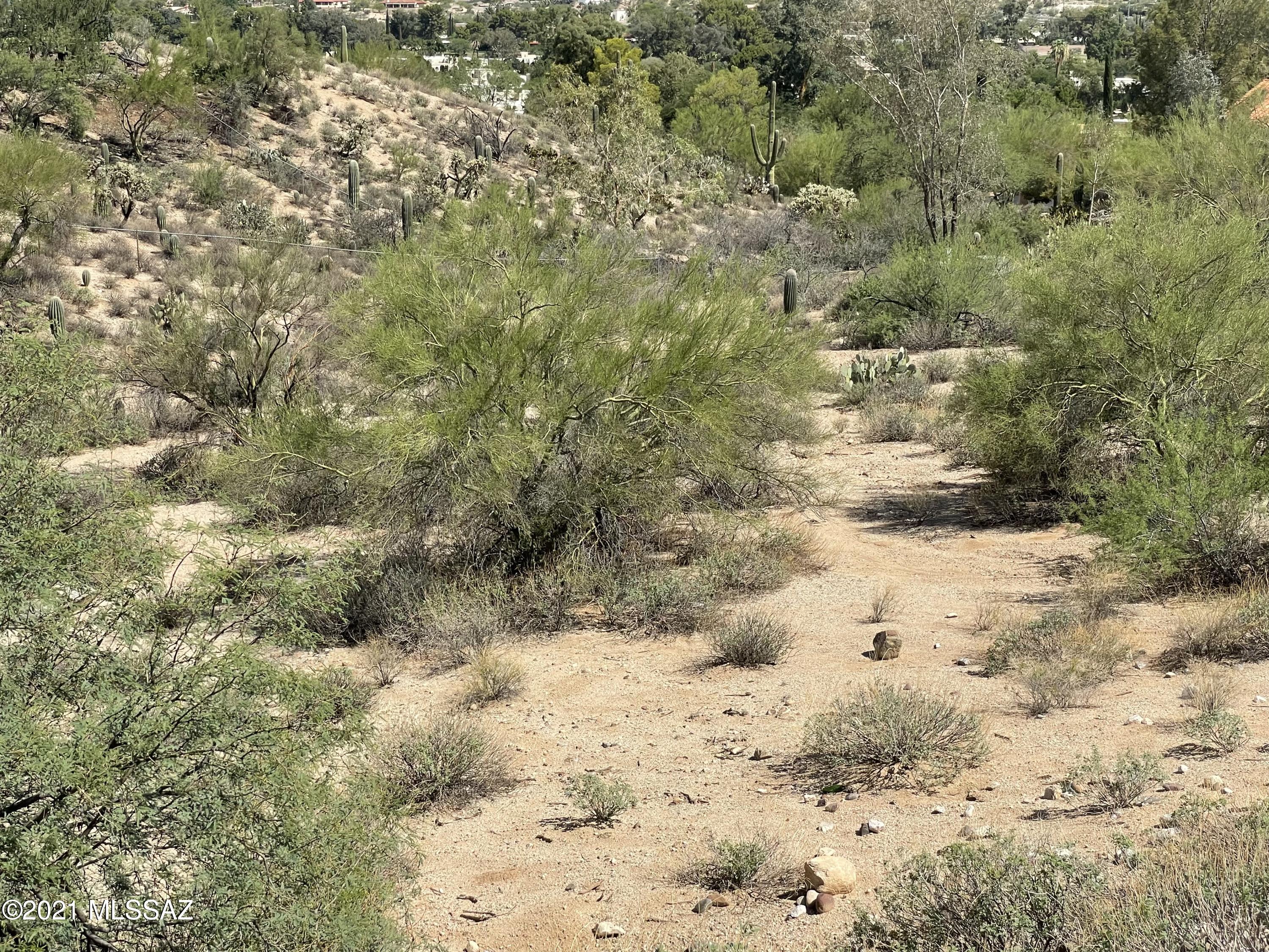 8242 North Shannon Road, Unit 1207 Tucson, AZ 85742 - Photo 11 of 28