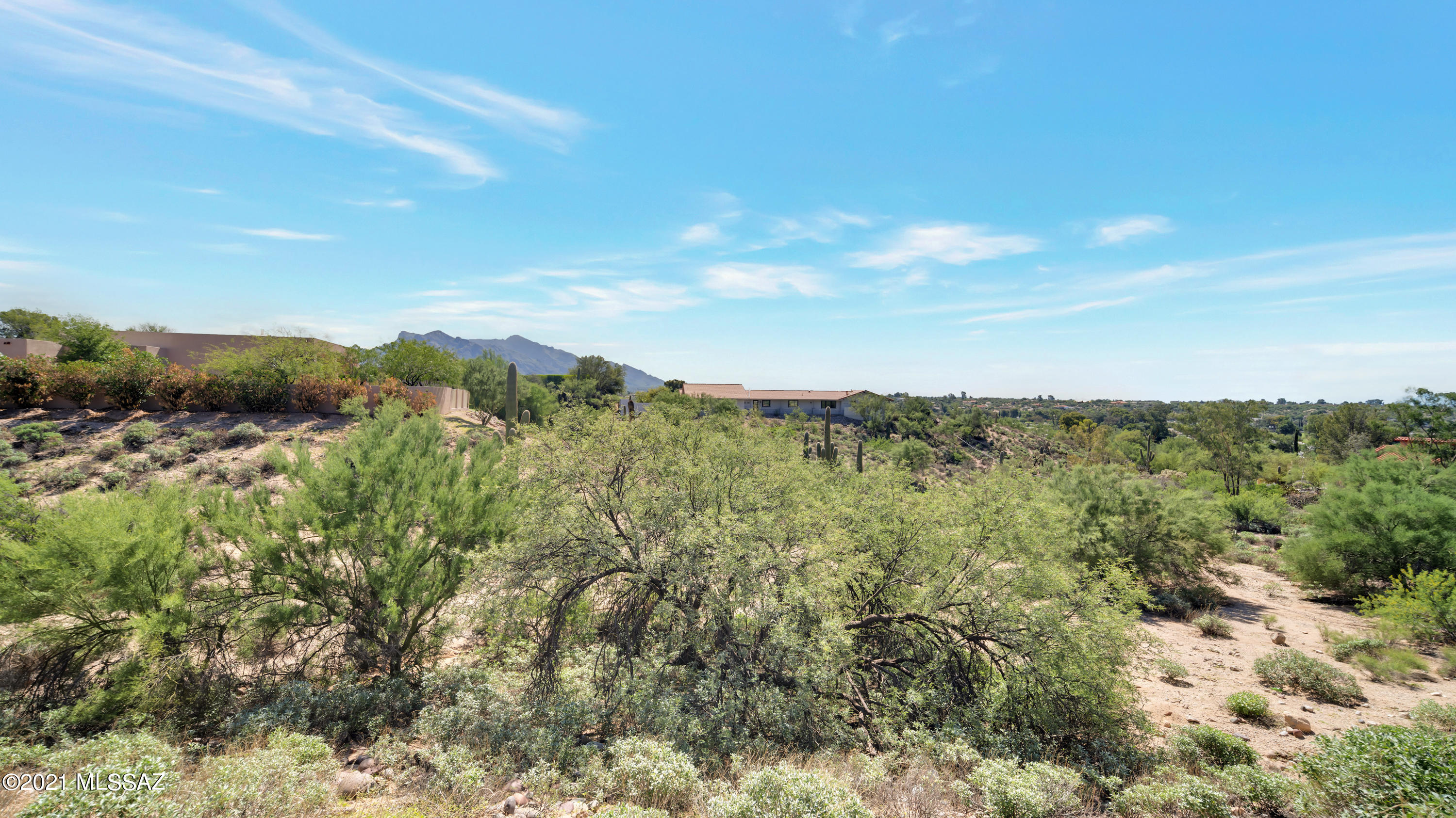 8242 North Shannon Road, Unit 1207 Tucson, AZ 85742 - Photo 17 of 28