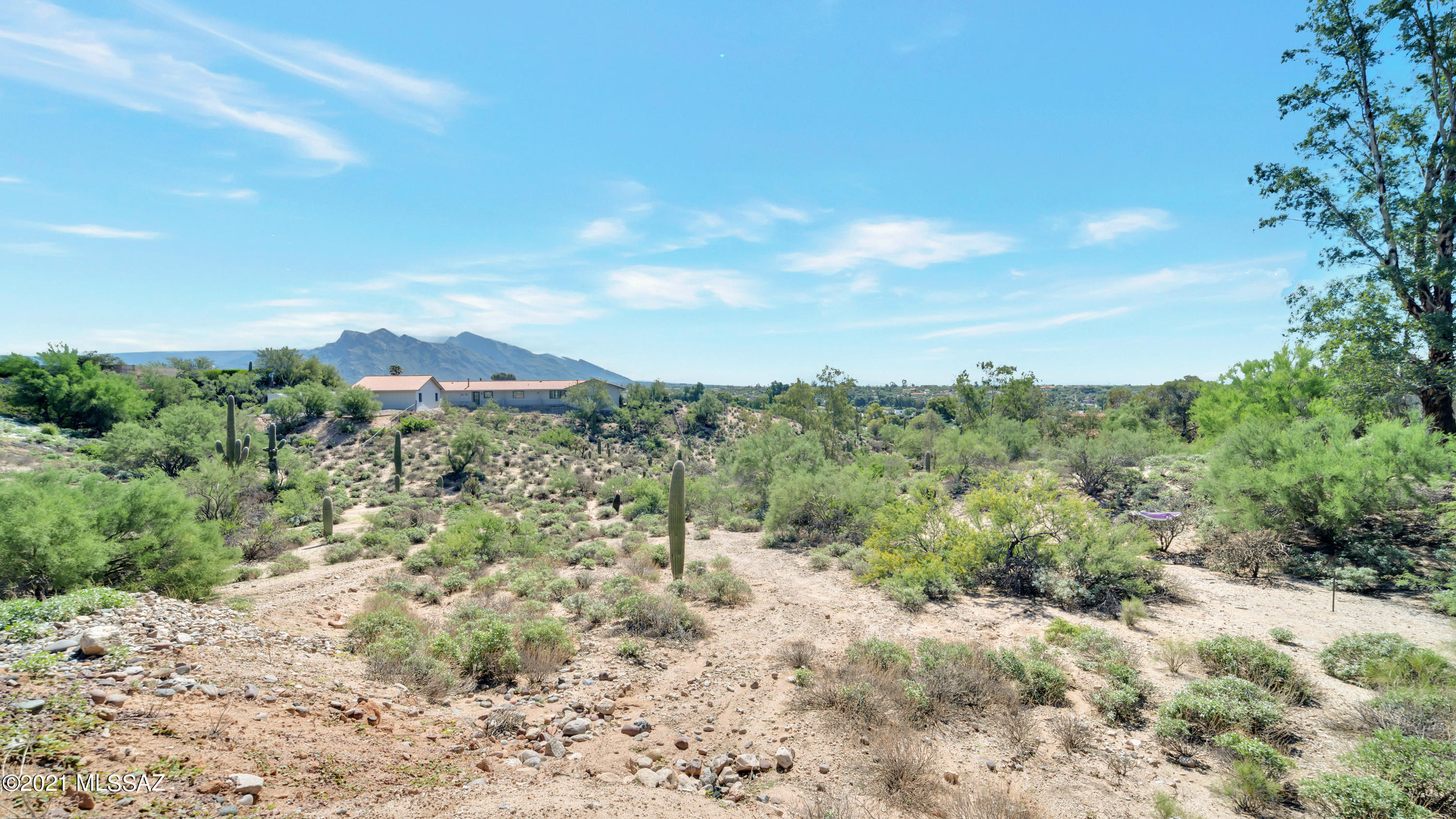 8242 North Shannon Road, Unit 1207 Tucson, AZ 85742 - Photo 21 of 28