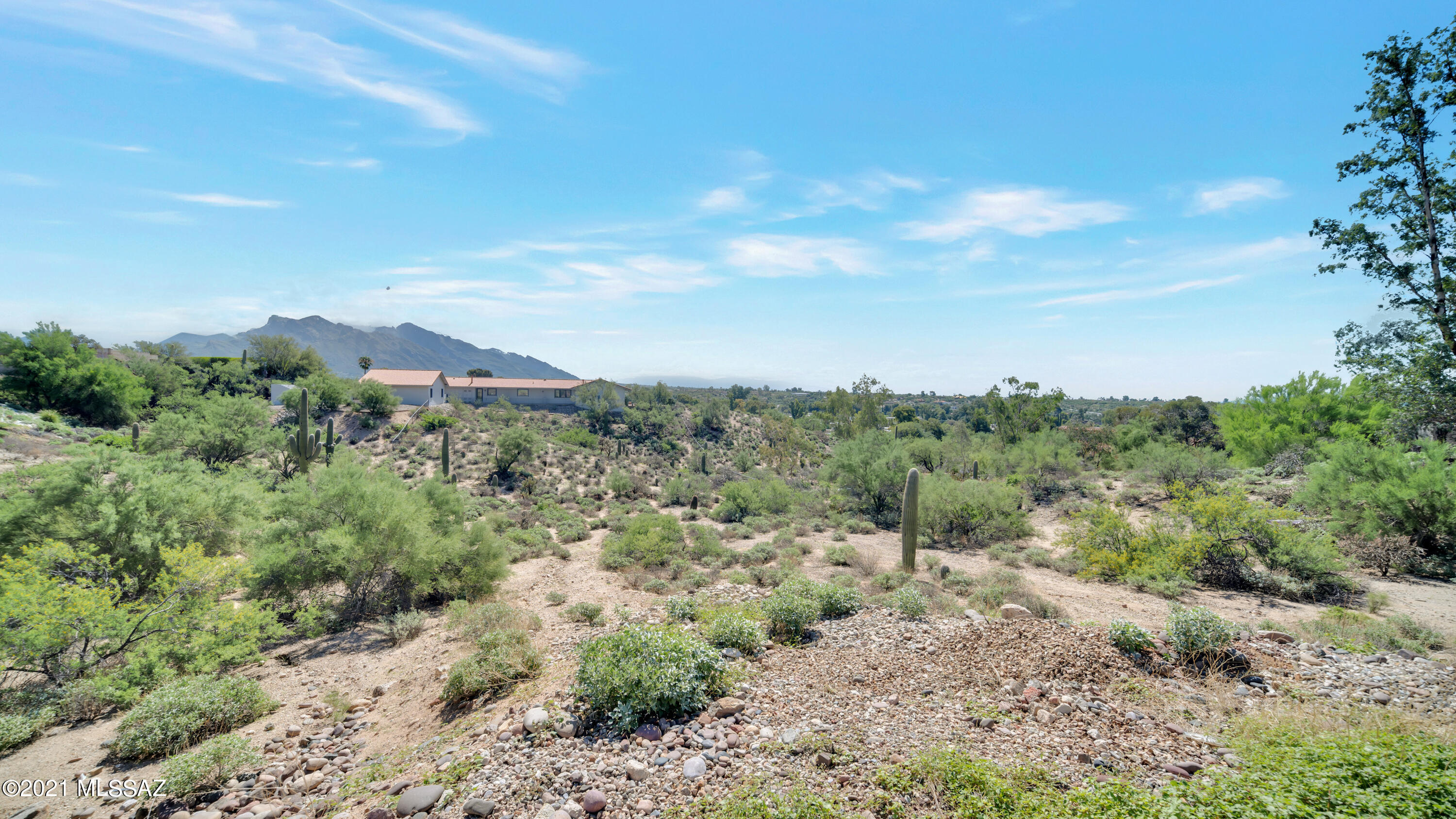 8242 North Shannon Road, Unit 1207 Tucson, AZ 85742 - Photo 24 of 28