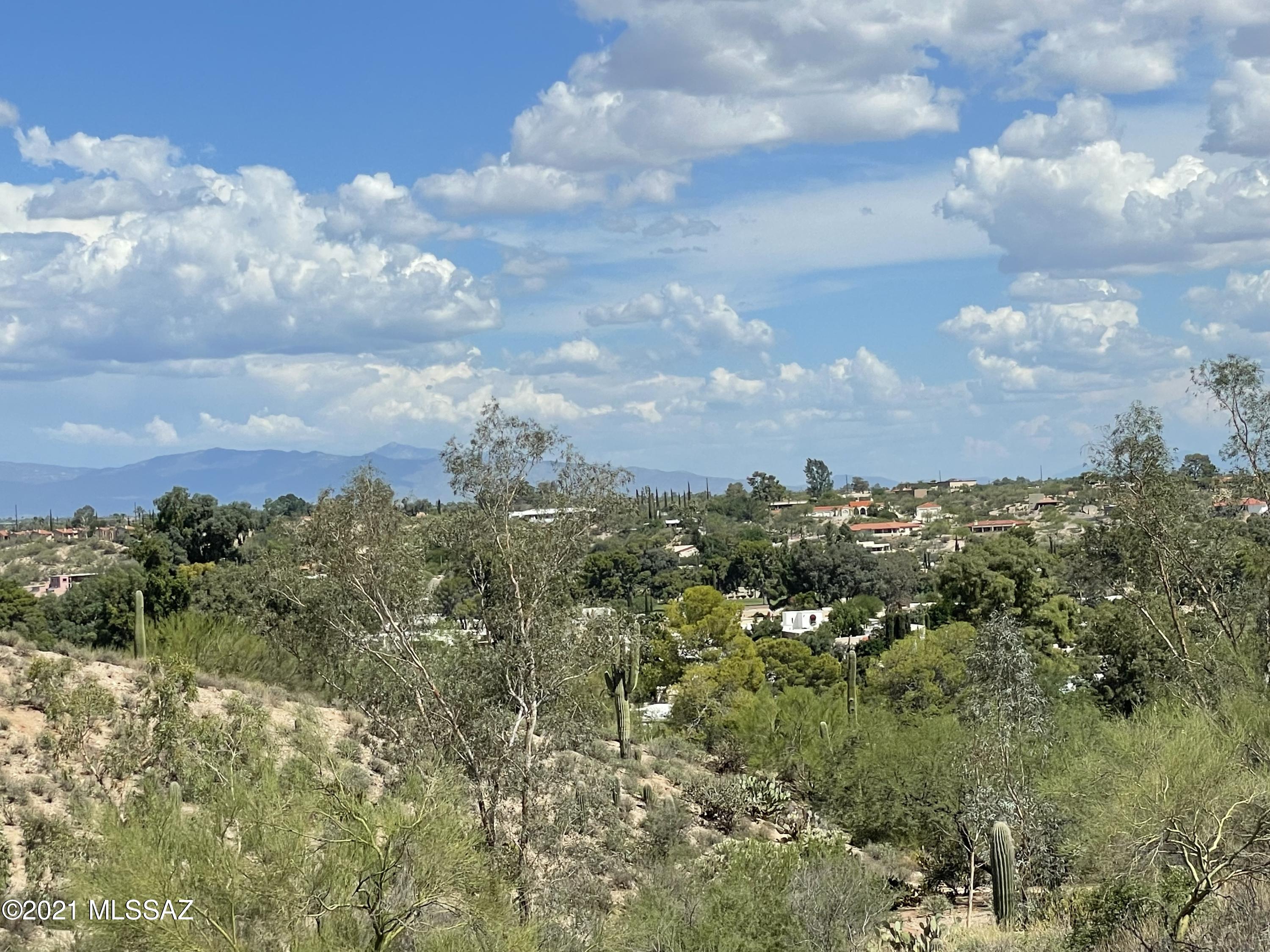 8242 North Shannon Road, Unit 1207 Tucson, AZ 85742 - Photo 4 of 28
