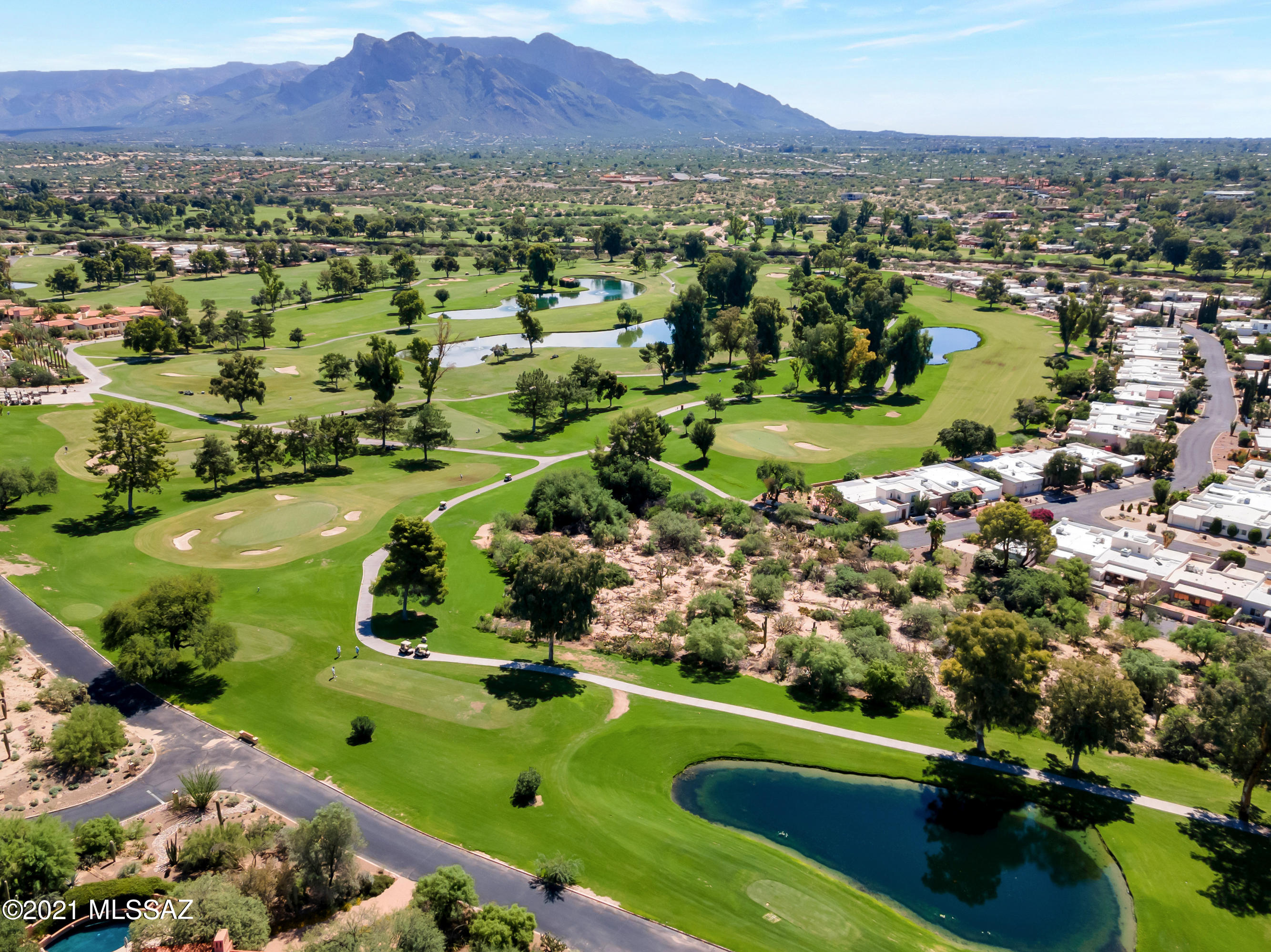 8242 North Shannon Road, Unit 1207 Tucson, AZ 85742 - Photo 5 of 28
