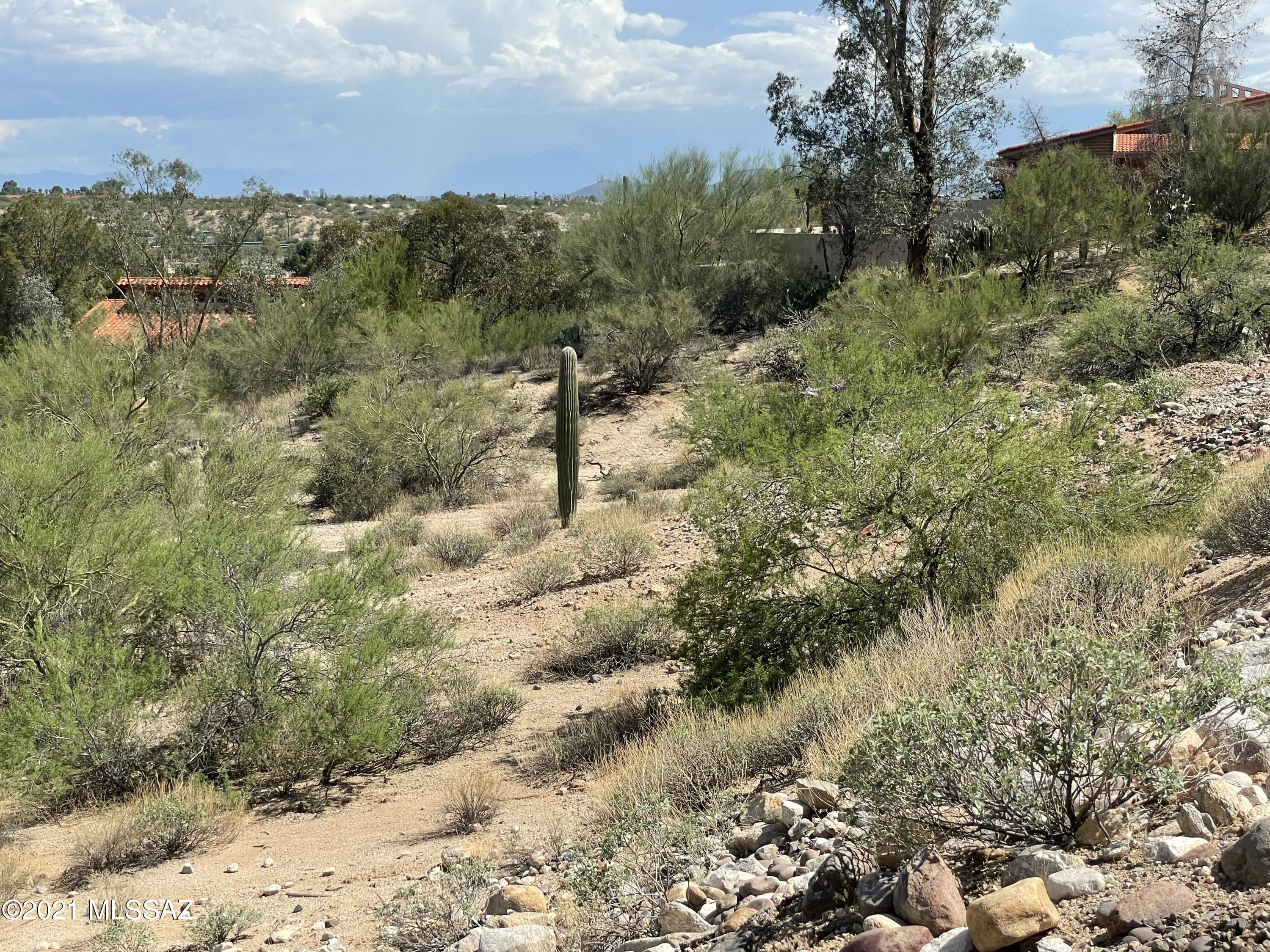 8242 North Shannon Road, Unit 1207 Tucson, AZ 85742 - Photo 6 of 28