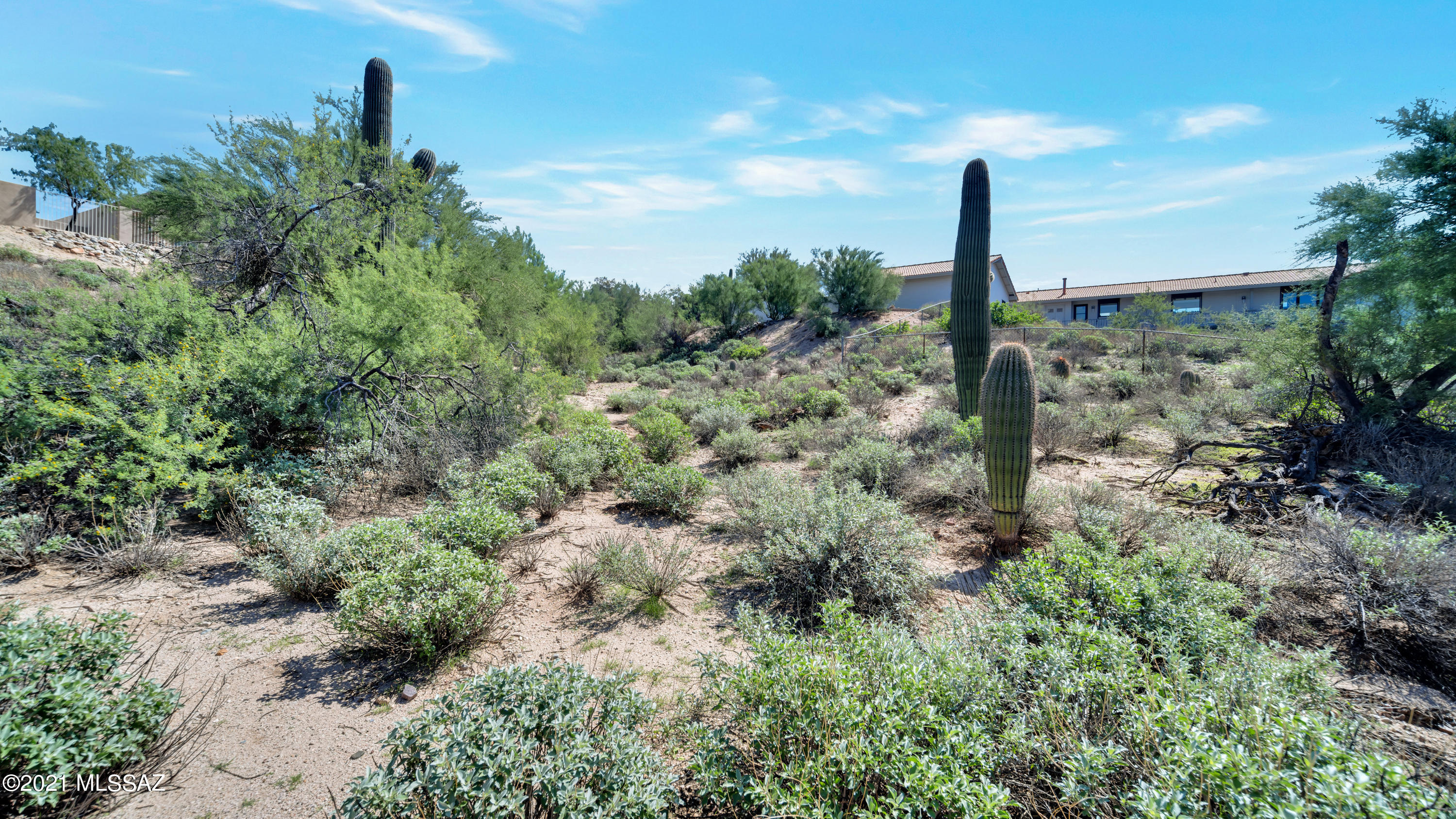 8242 North Shannon Road, Unit 1207 Tucson, AZ 85742 - Photo 7 of 28